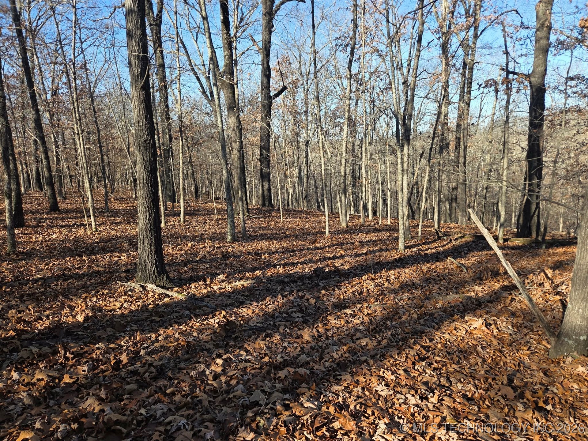 Pigeon Ridge Proctor OK 74457