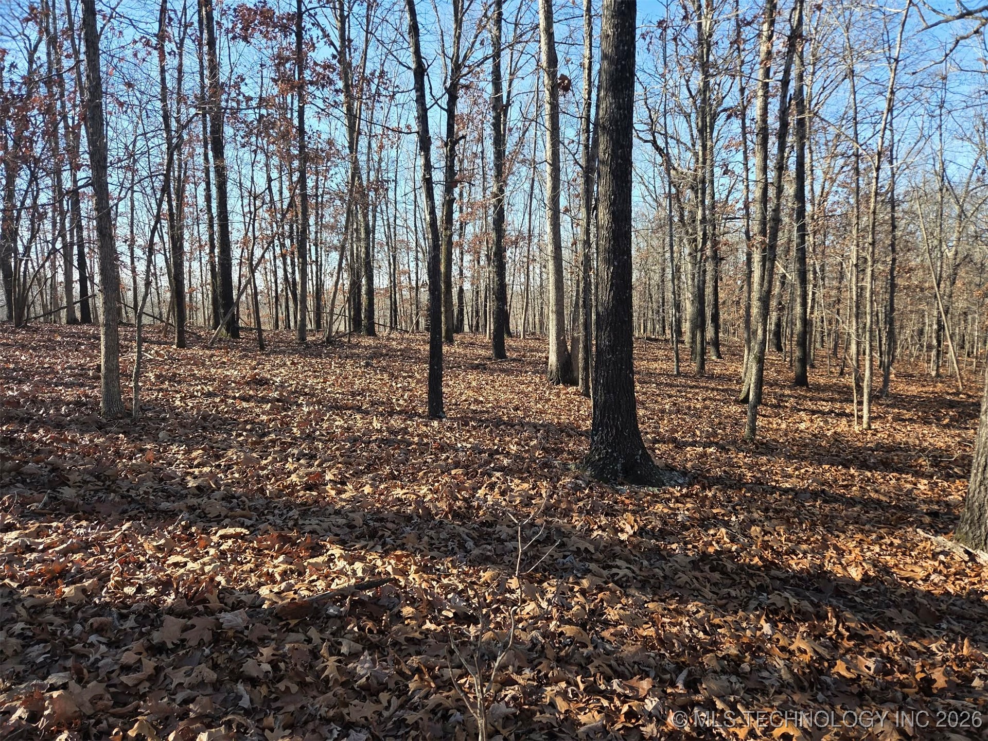 Pigeon Ridge Proctor OK 74457