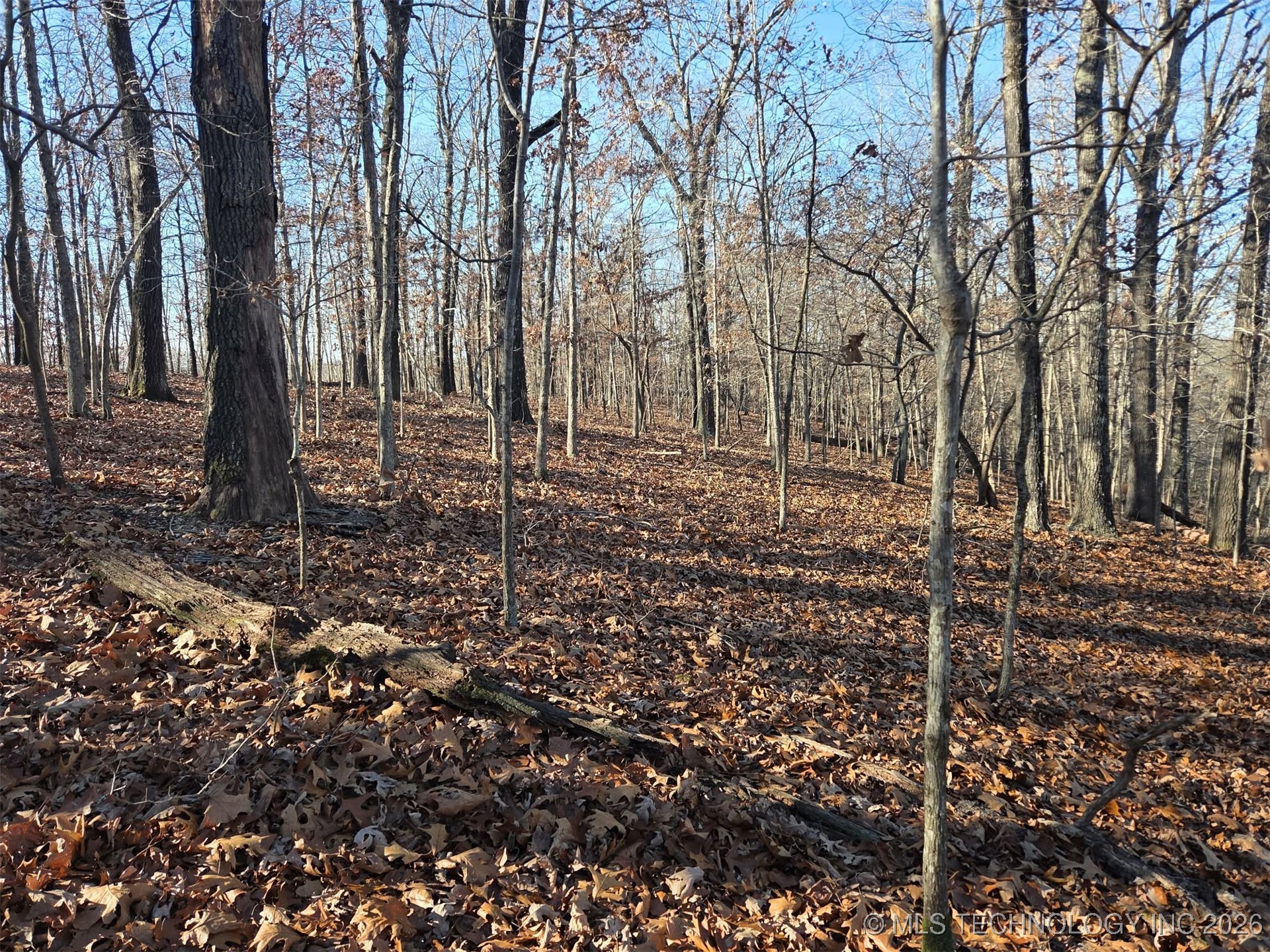 Pigeon Ridge Proctor OK 74457