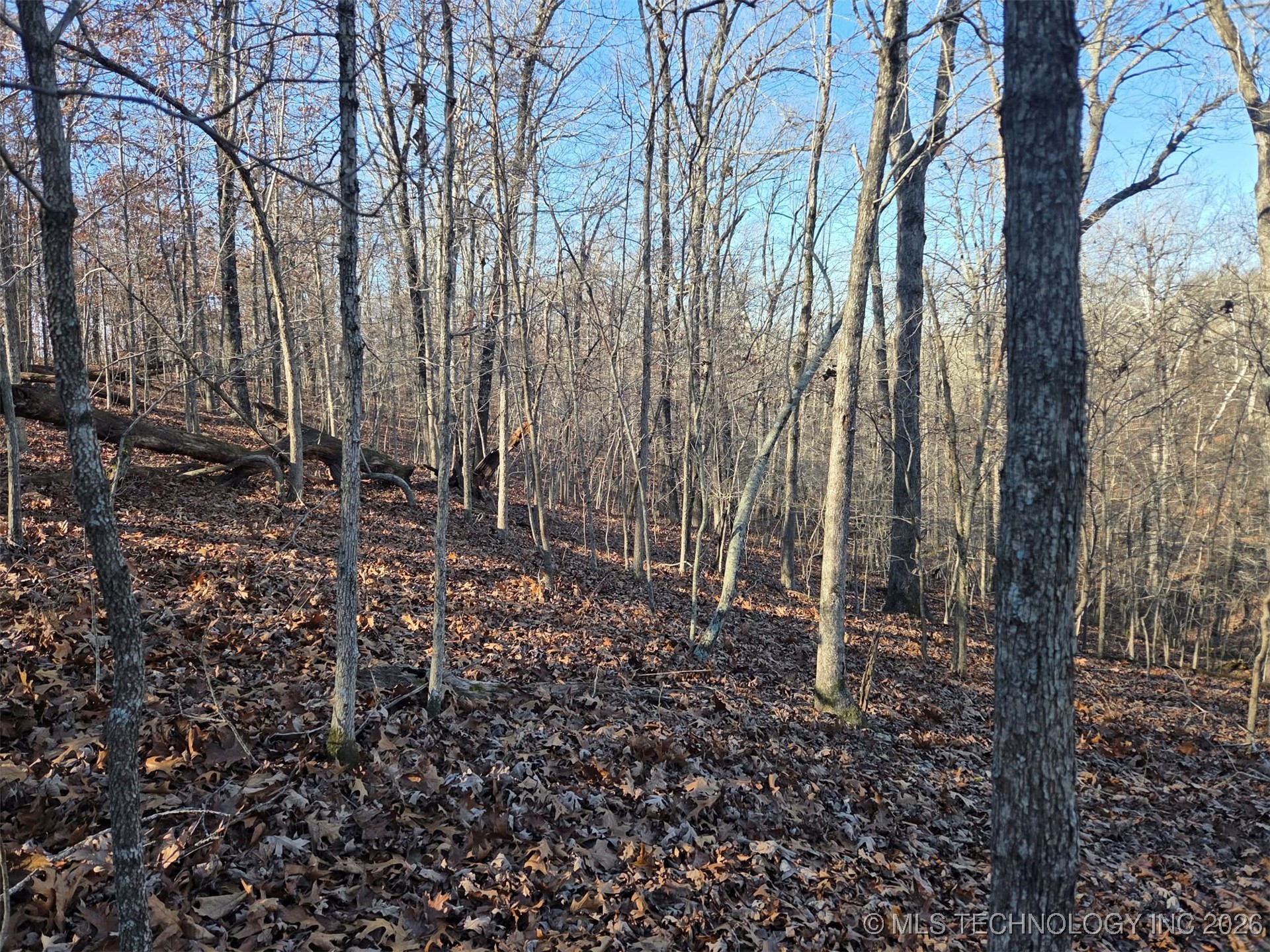 Pigeon Ridge Proctor OK 74457