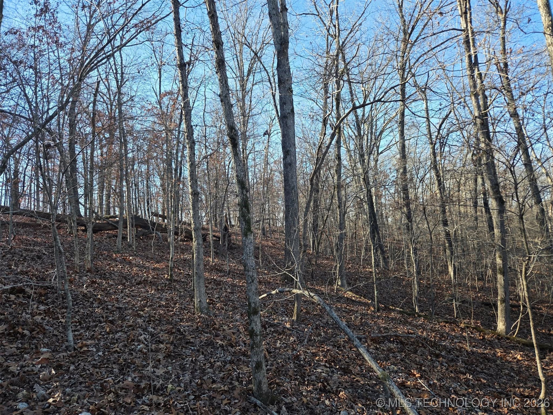 Pigeon Ridge Proctor OK 74457