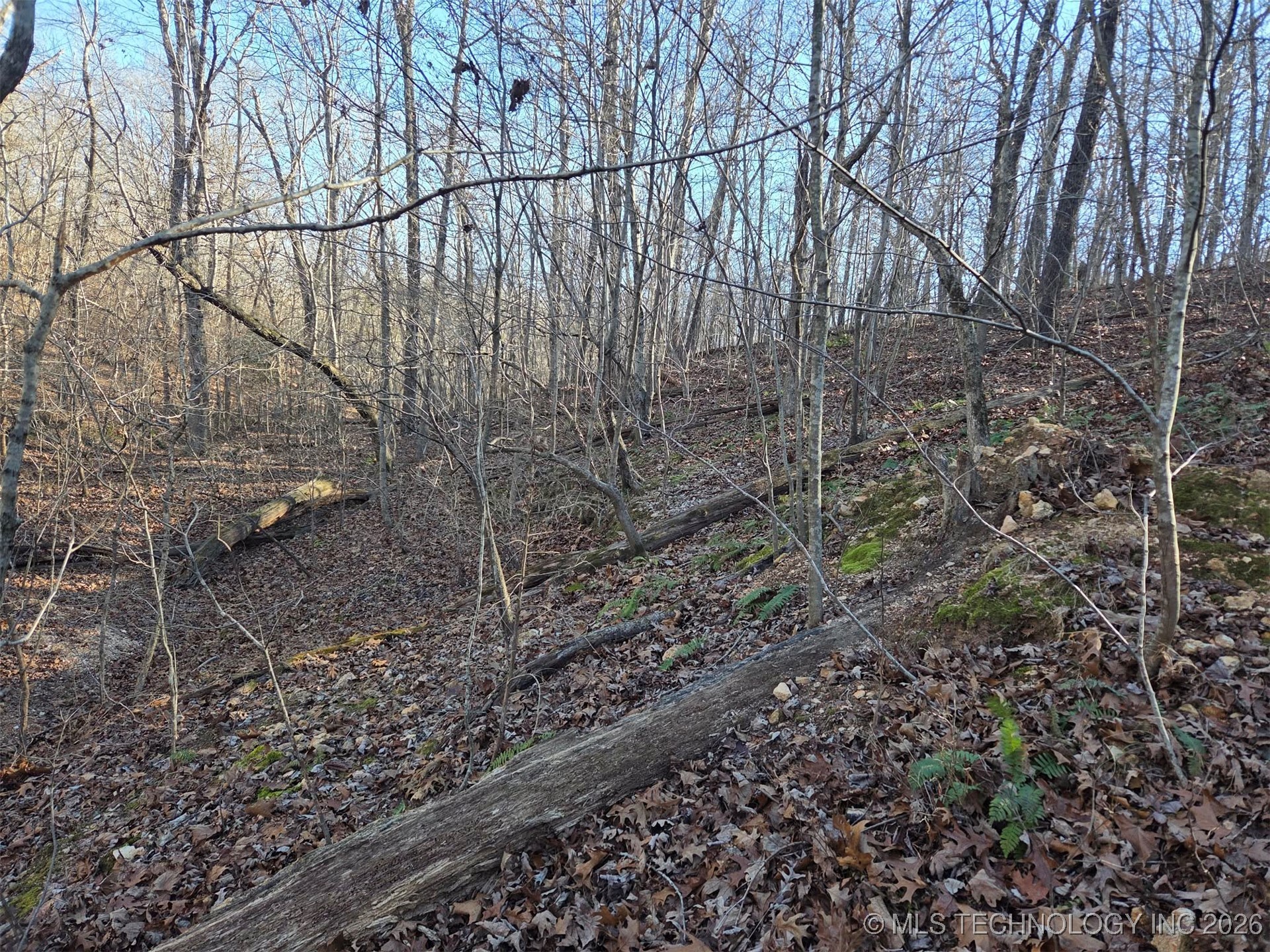 Pigeon Ridge Proctor OK 74457