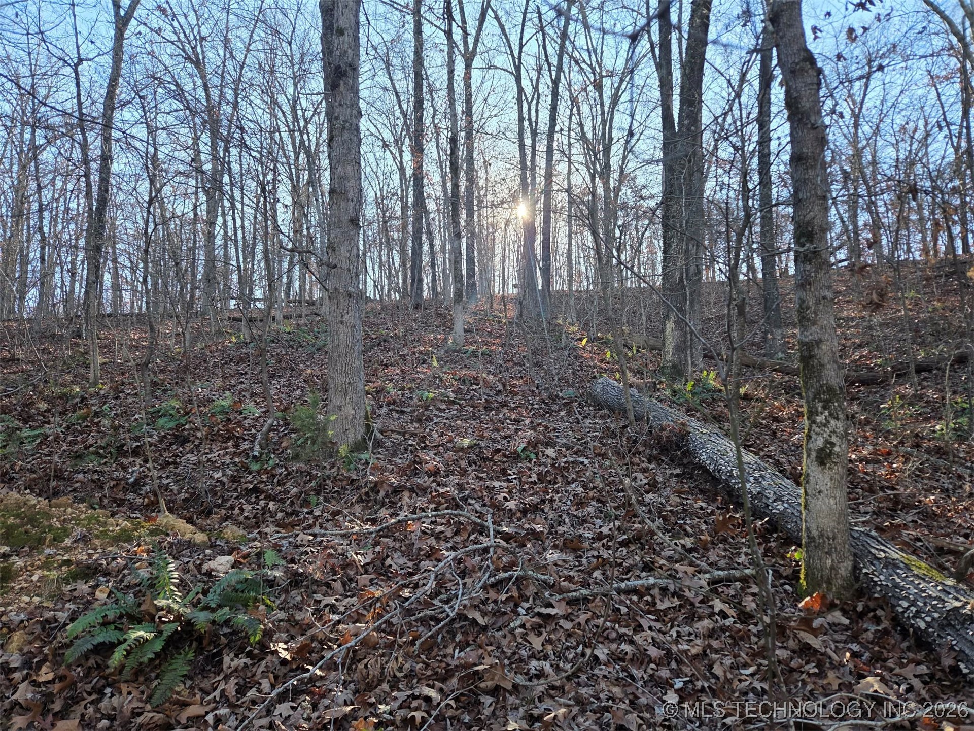 Pigeon Ridge Proctor OK 74457
