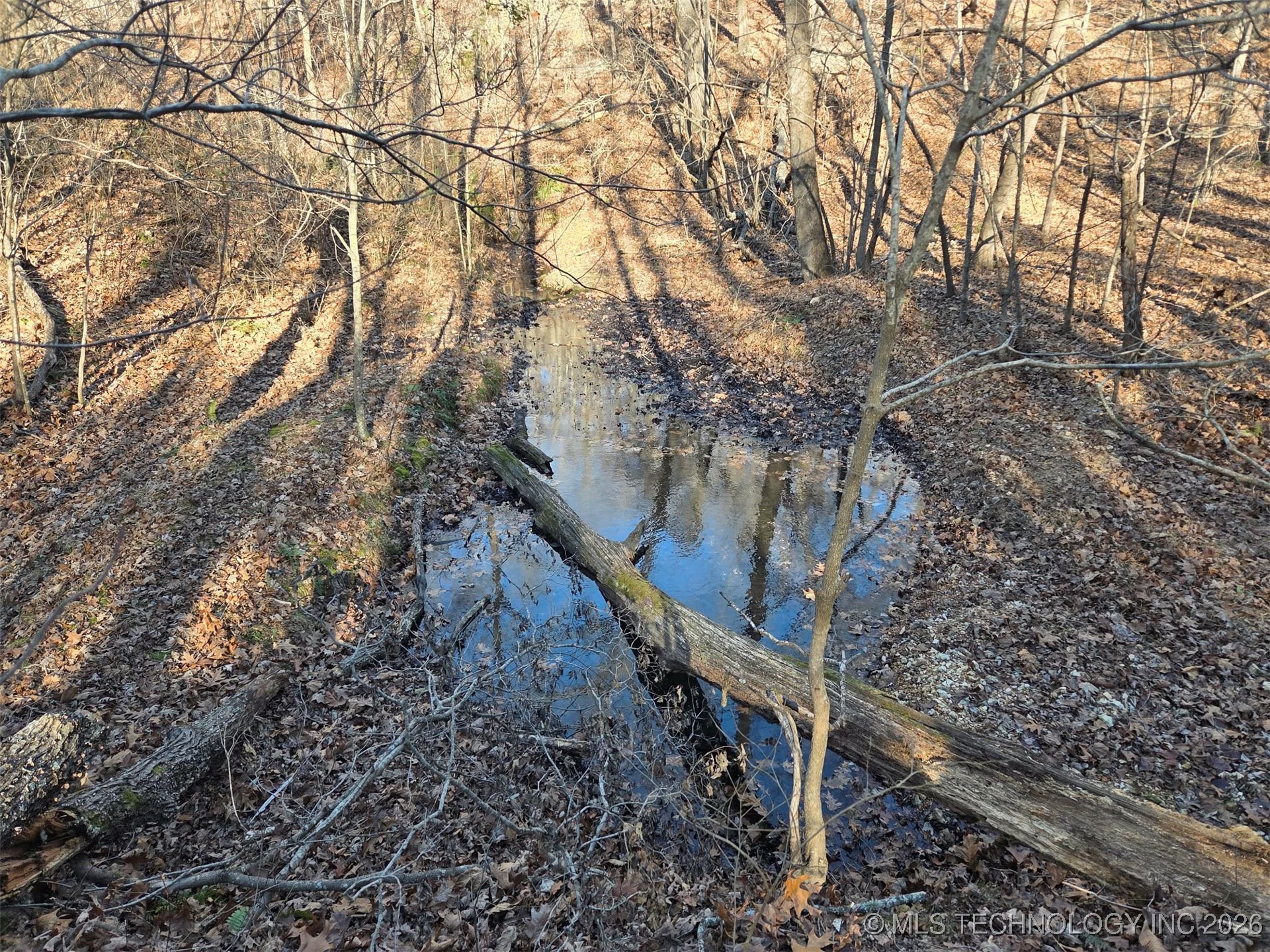 Pigeon Ridge Proctor OK 74457