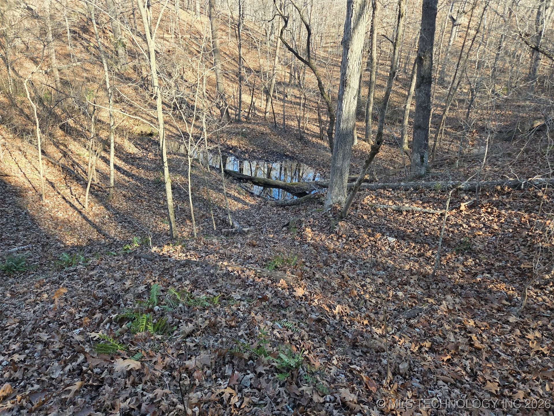 Pigeon Ridge Proctor OK 74457