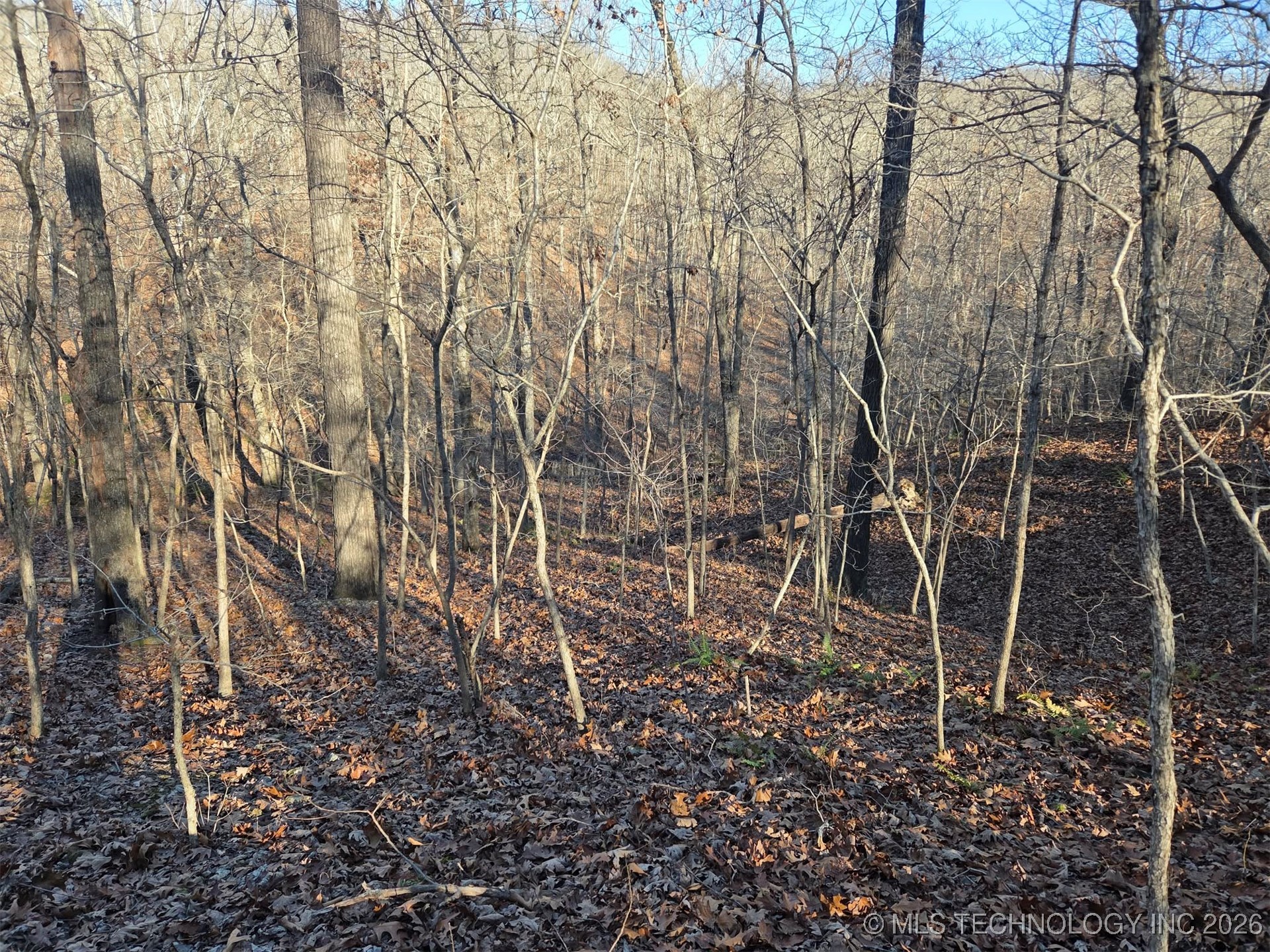 Pigeon Ridge Proctor OK 74457
