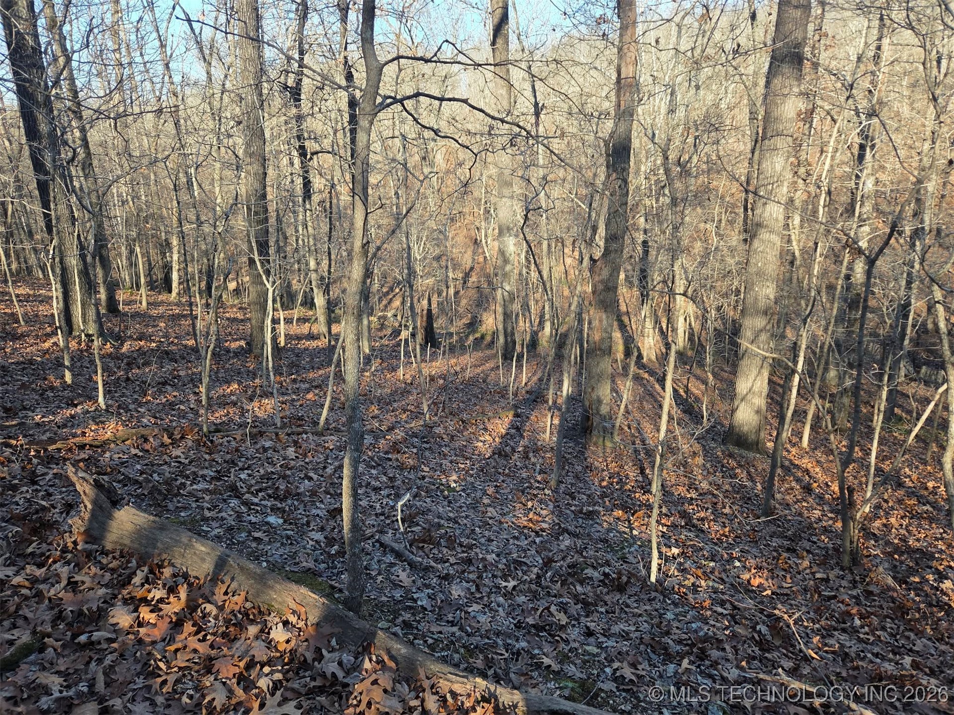 Pigeon Ridge Proctor OK 74457