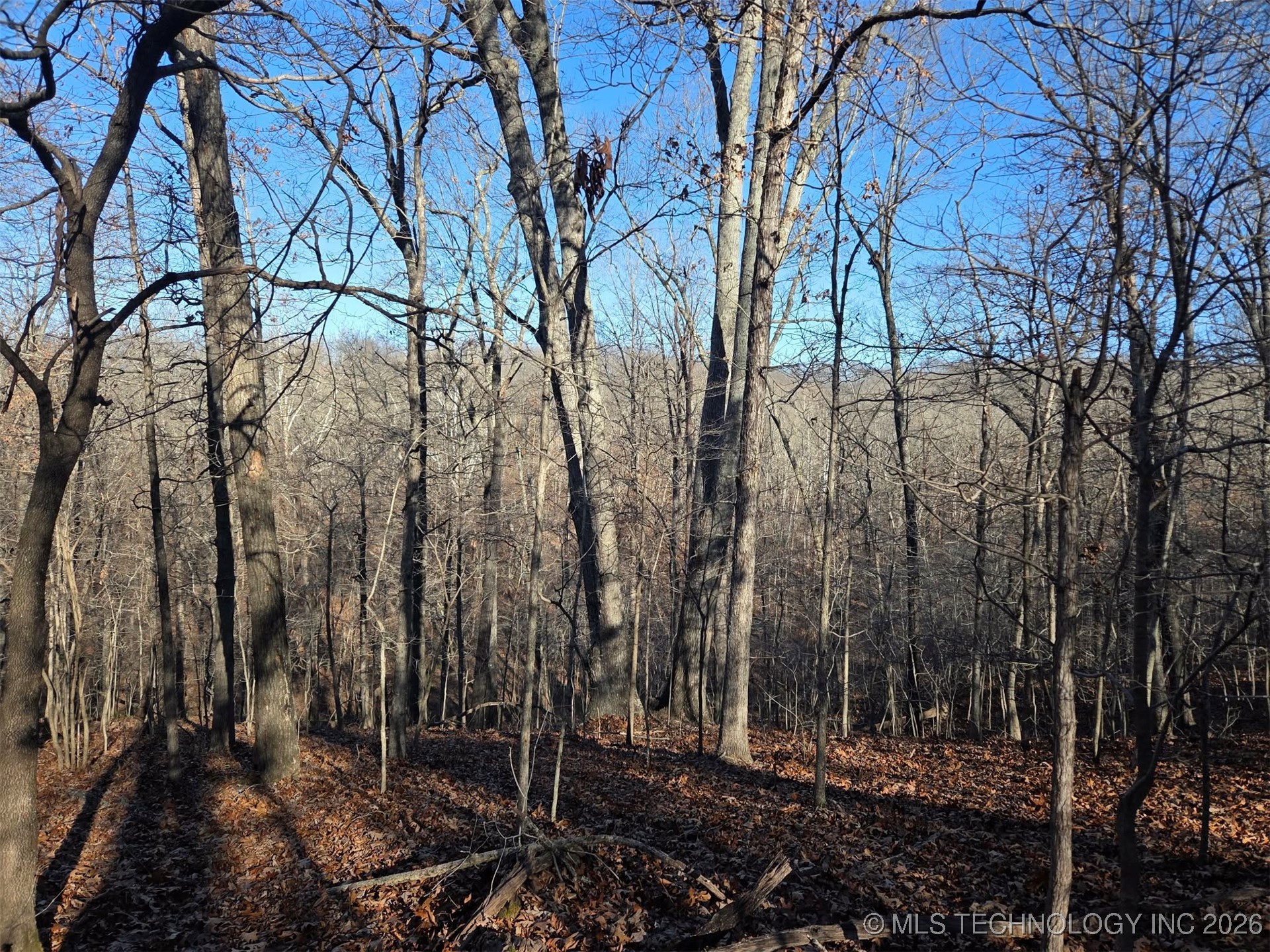 Pigeon Ridge Proctor OK 74457