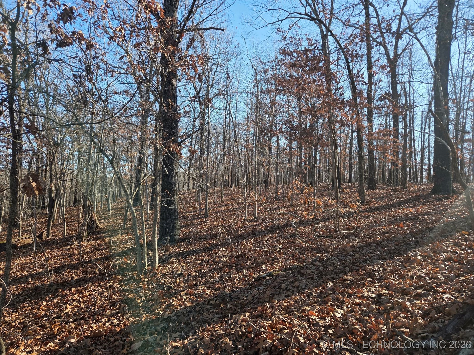Pigeon Ridge Proctor OK 74457