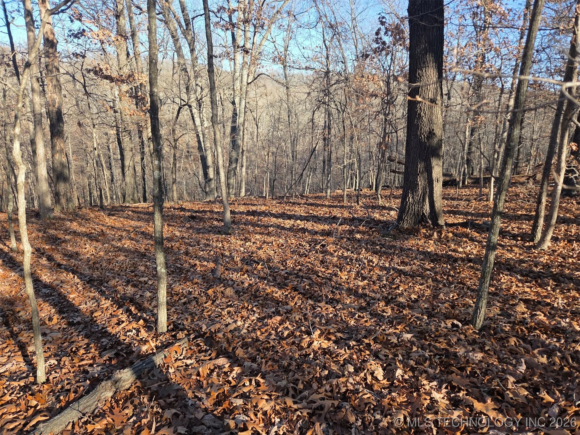 Pigeon Ridge Proctor OK 74457