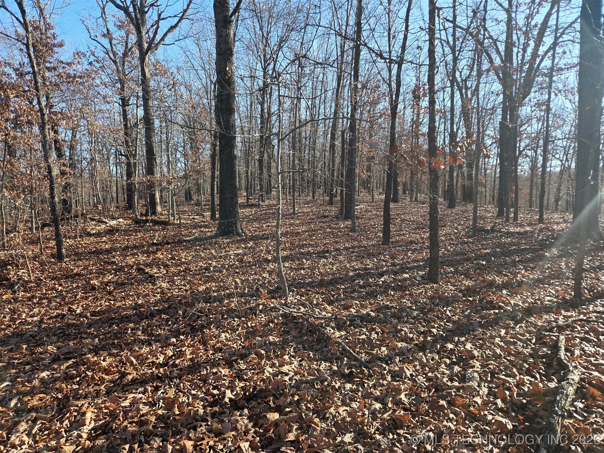 Pigeon Ridge Proctor OK 74457