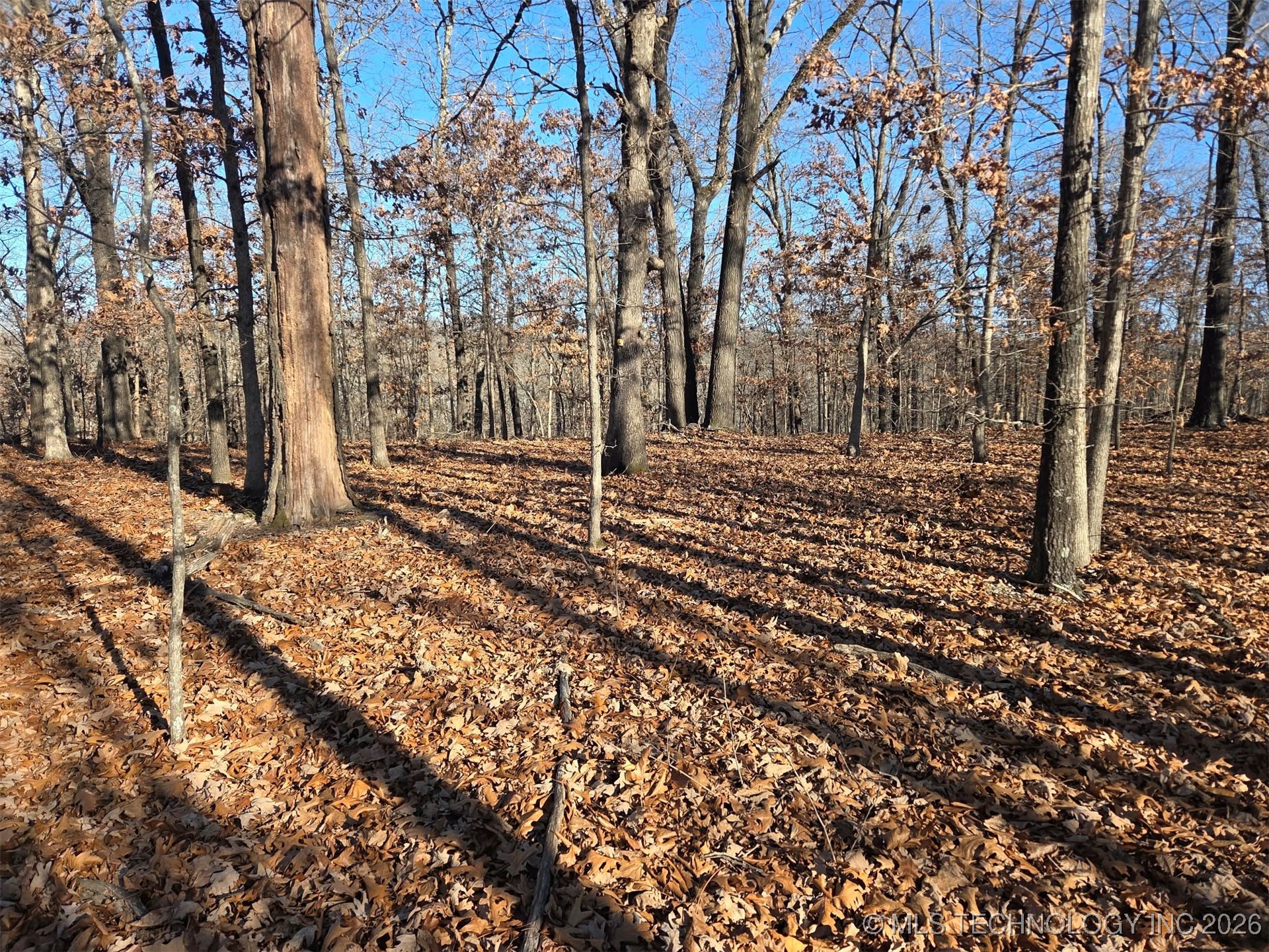 Pigeon Ridge Proctor OK 74457