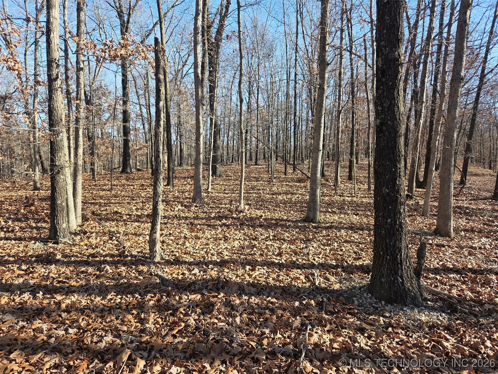Pigeon Ridge Proctor OK 74457