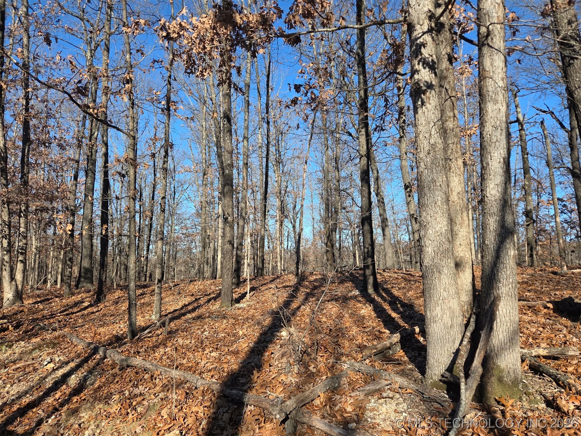 Pigeon Ridge Proctor OK 74457