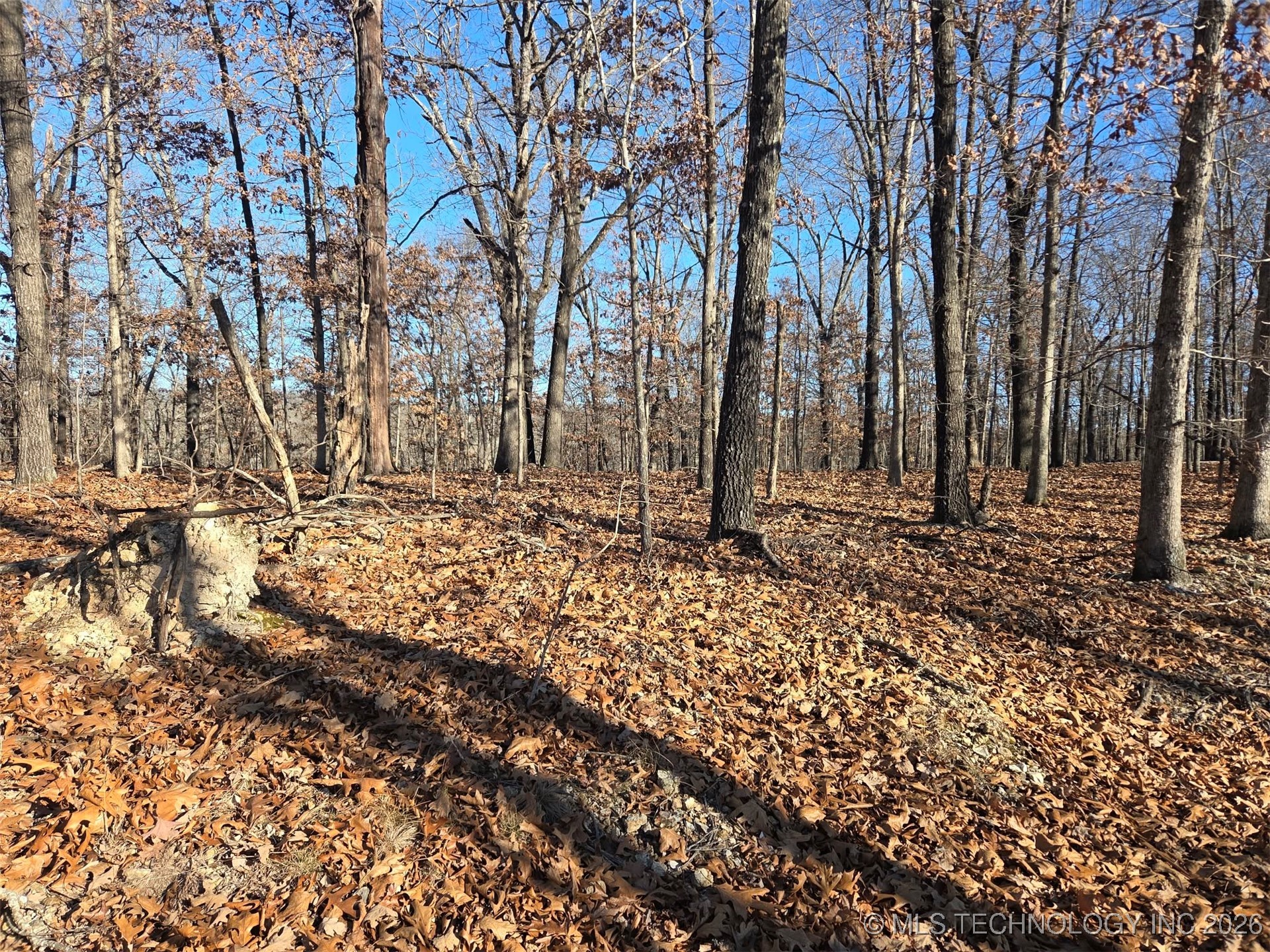 Pigeon Ridge Proctor OK 74457