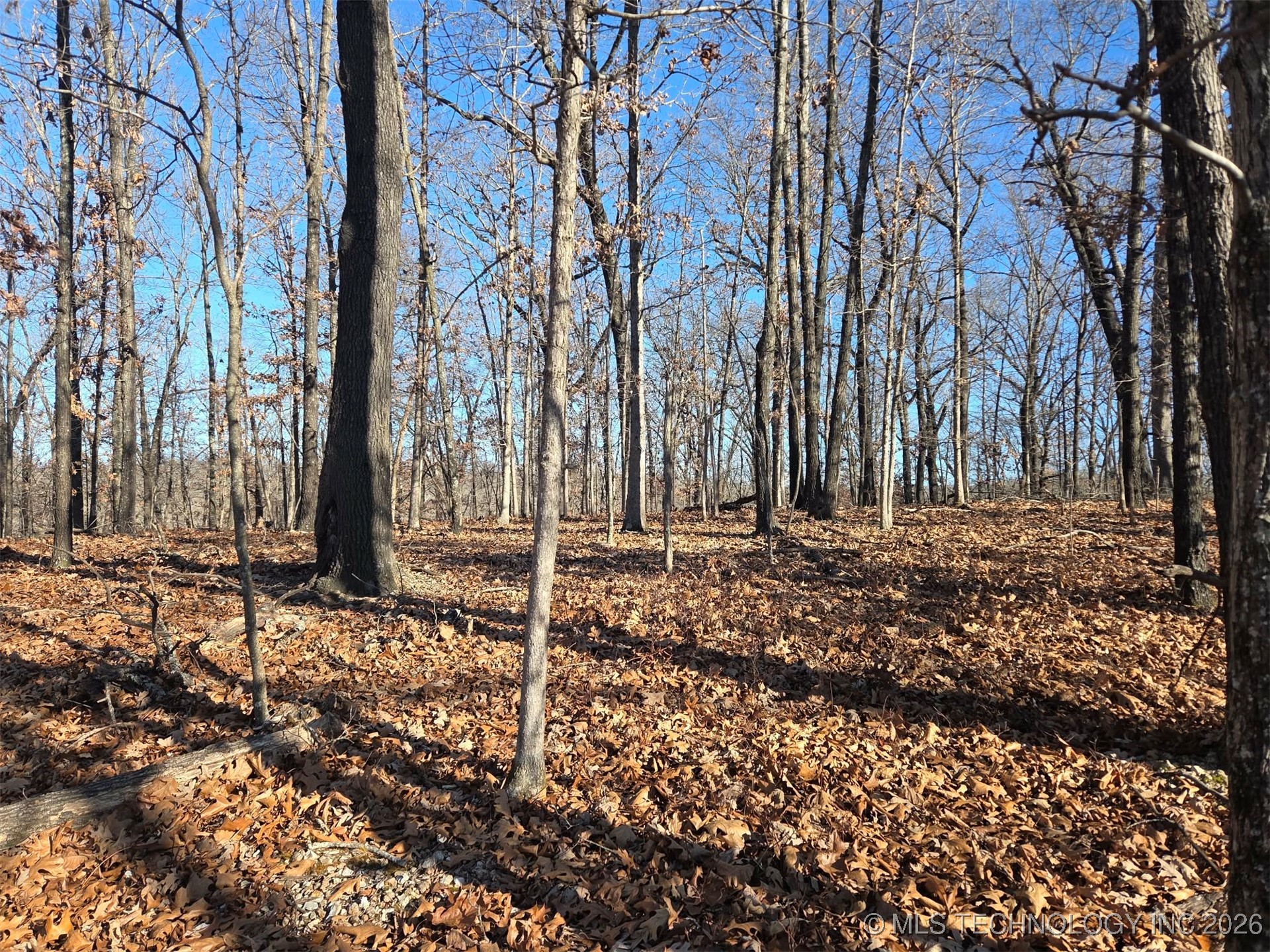 Pigeon Ridge Proctor OK 74457
