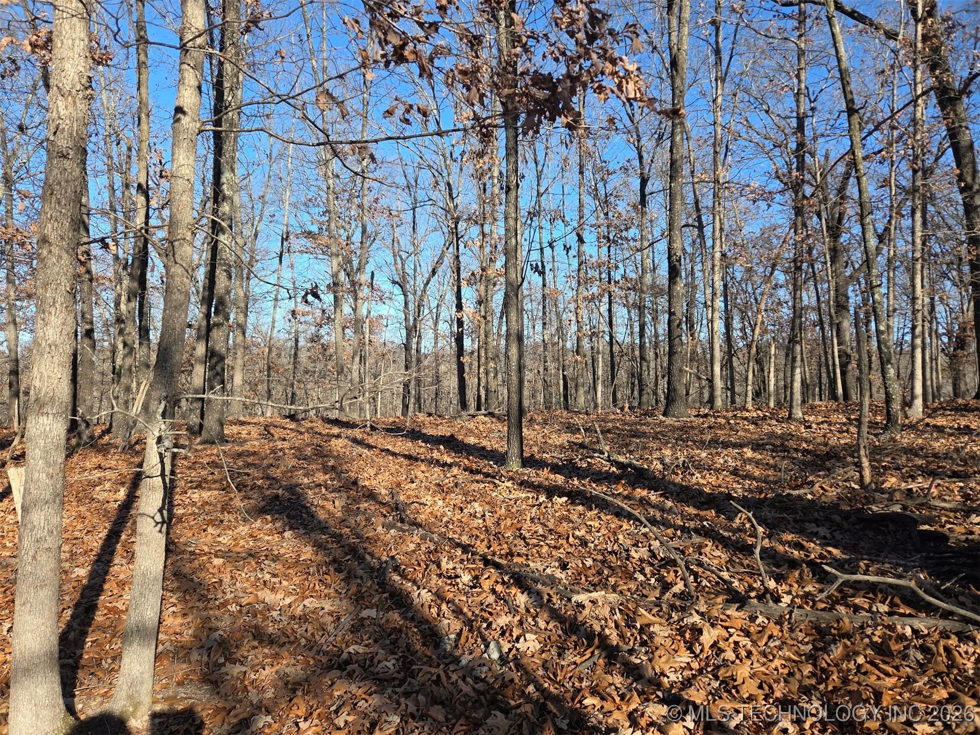 Pigeon Ridge Proctor OK 74457