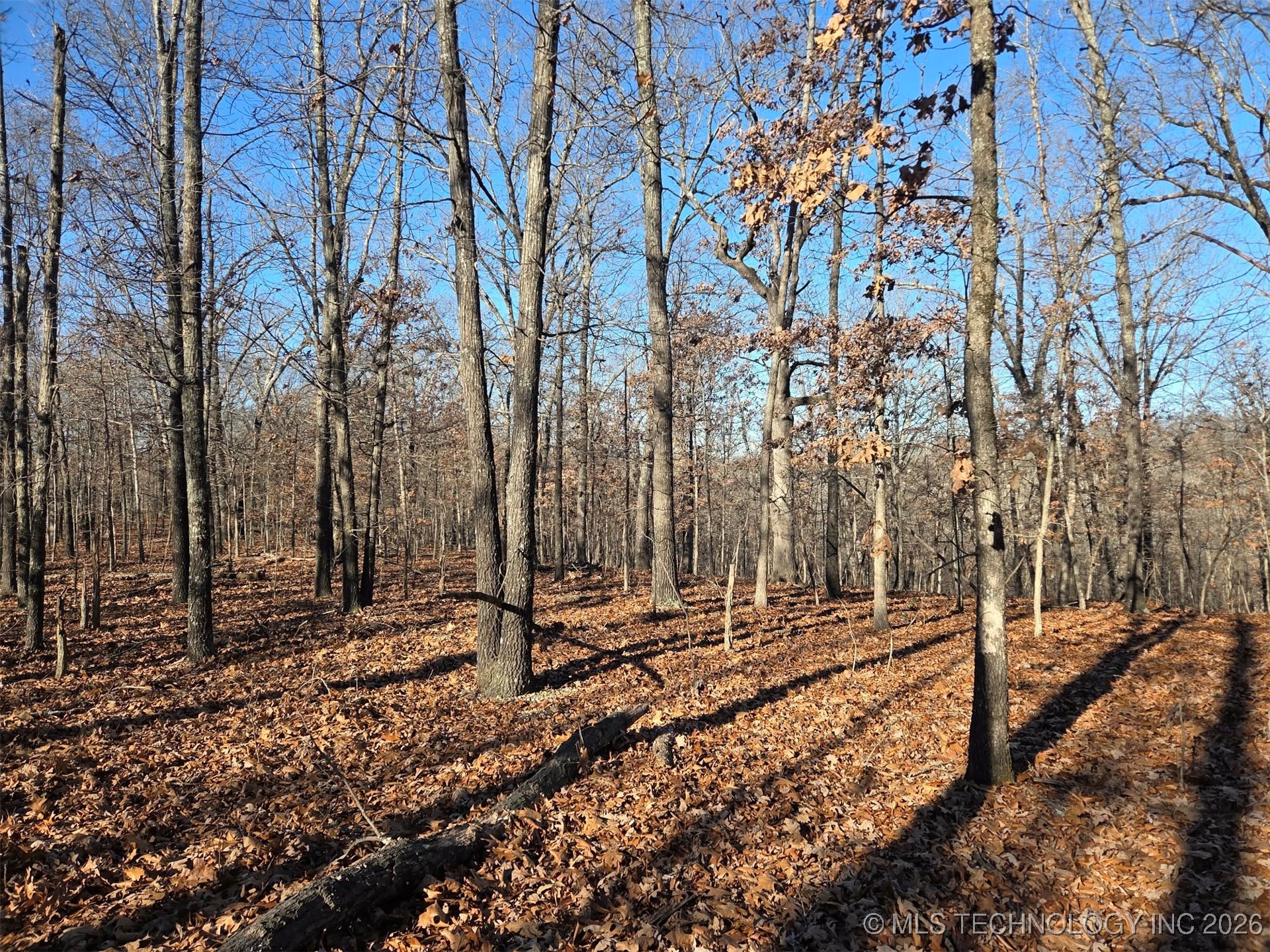 Pigeon Ridge Proctor OK 74457