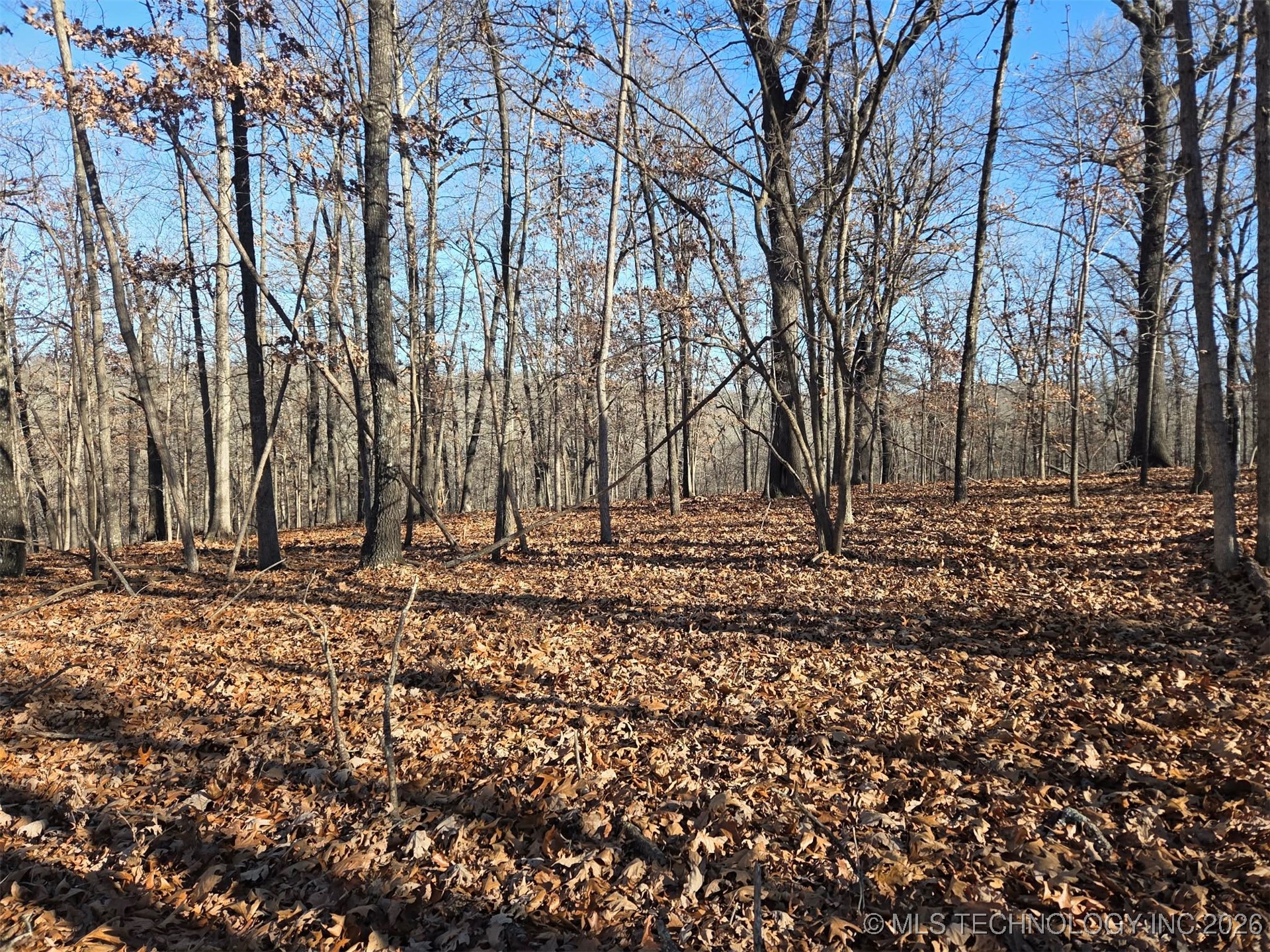 Pigeon Ridge Proctor OK 74457