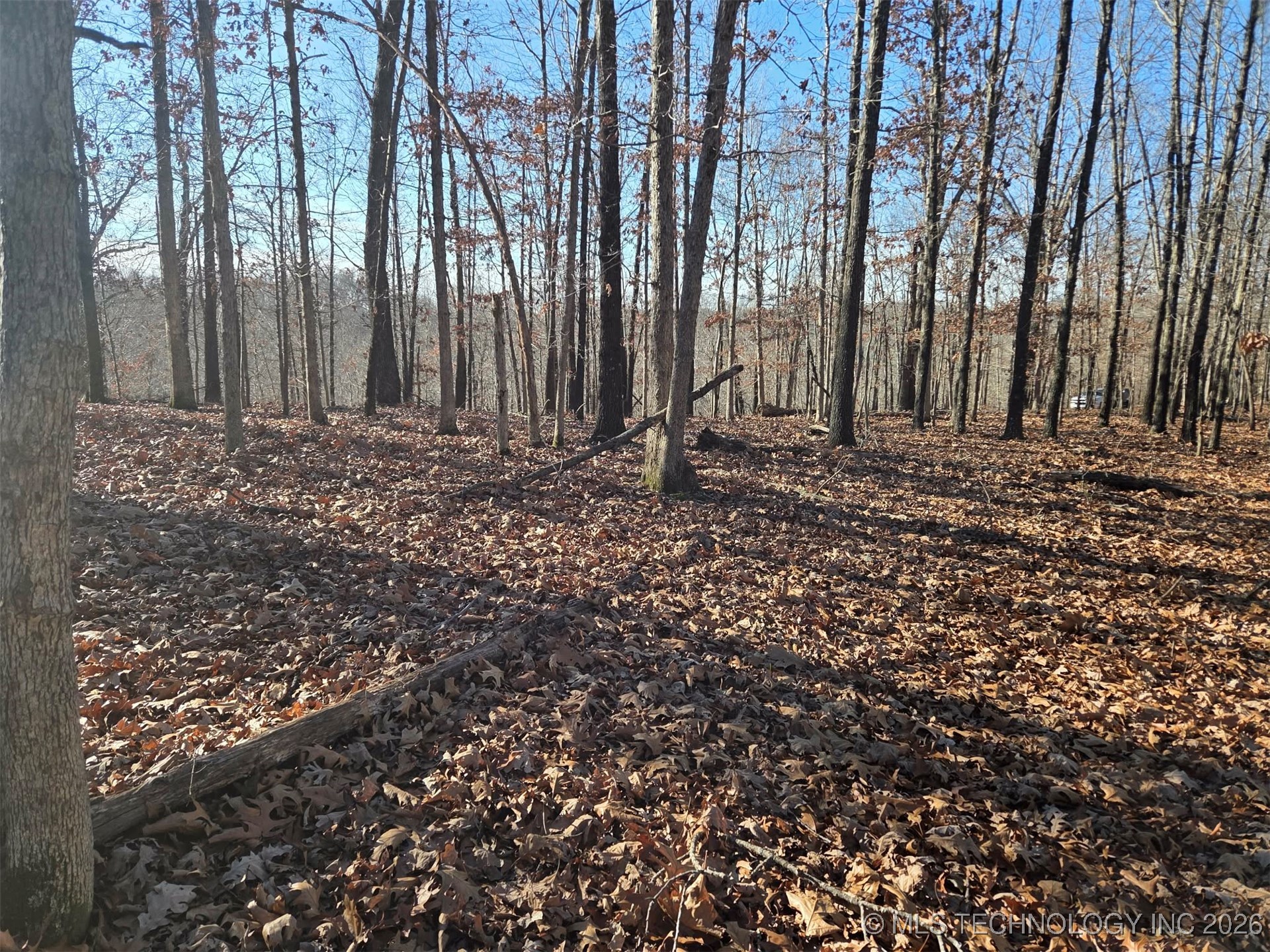 Pigeon Ridge Proctor OK 74457