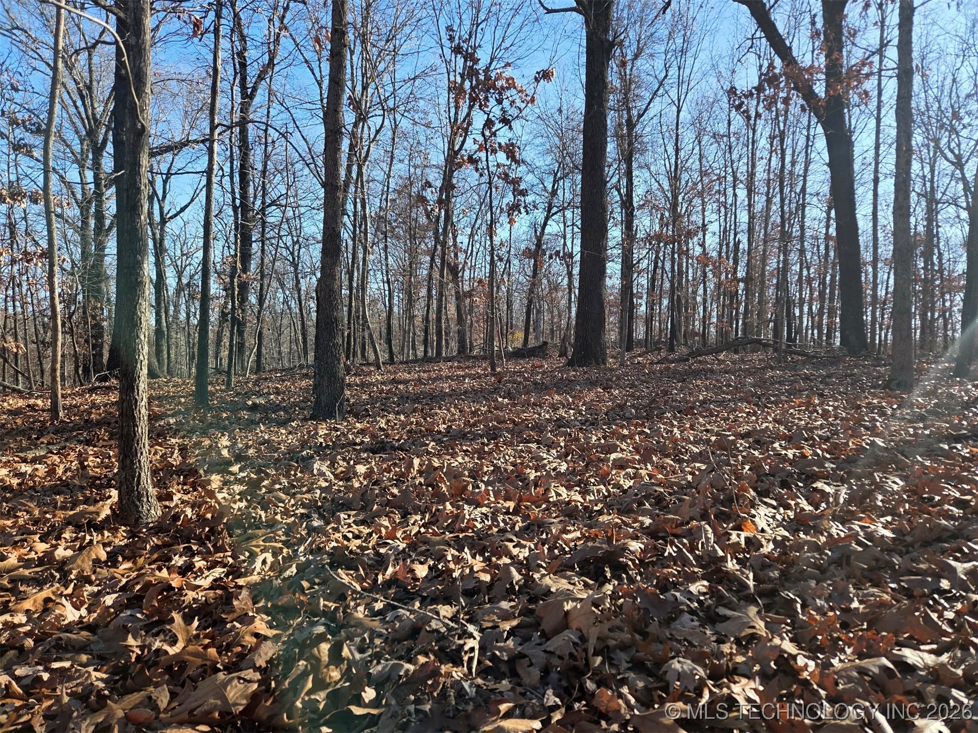 Pigeon Ridge Proctor OK 74457