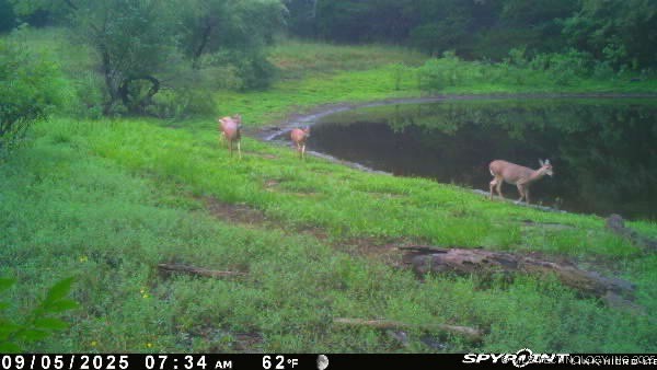 Arbeka Road Henryetta OK 74437