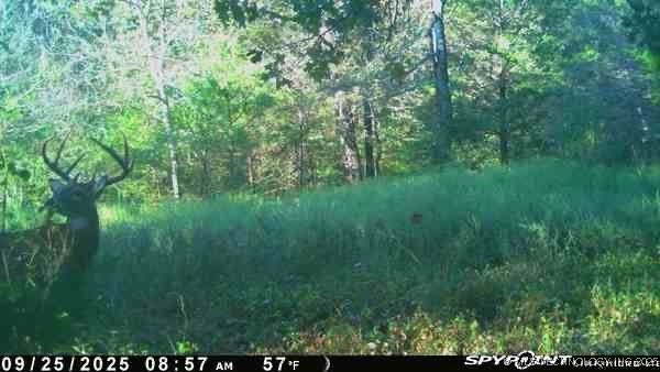 Arbeka Road Henryetta OK 74437