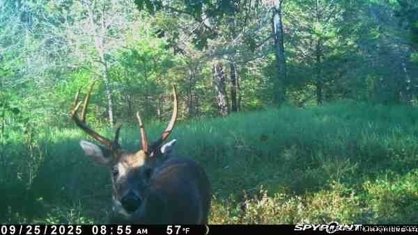 Arbeka Road Henryetta OK 74437