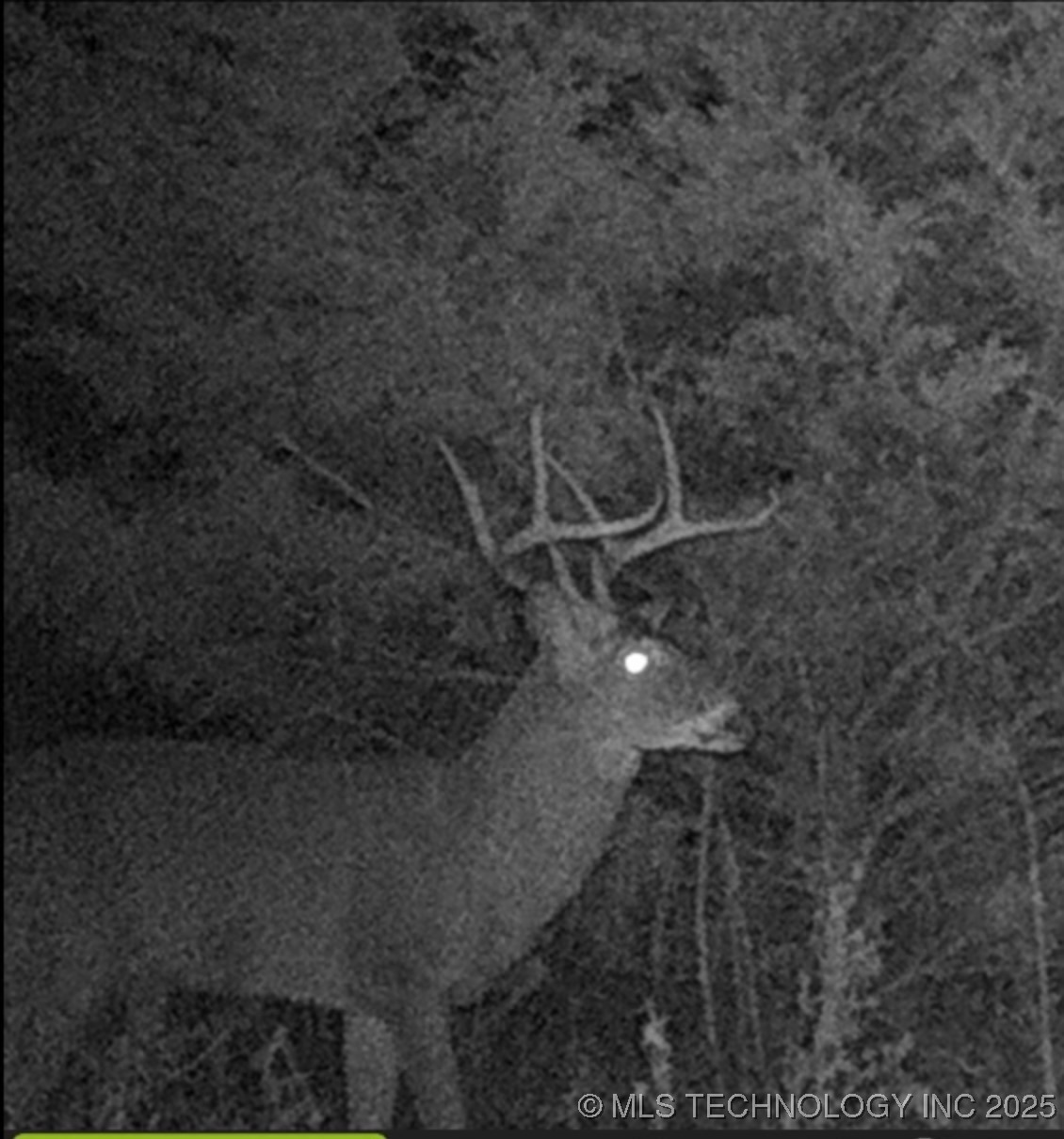 0 County Road 3630 Ada OK 74820