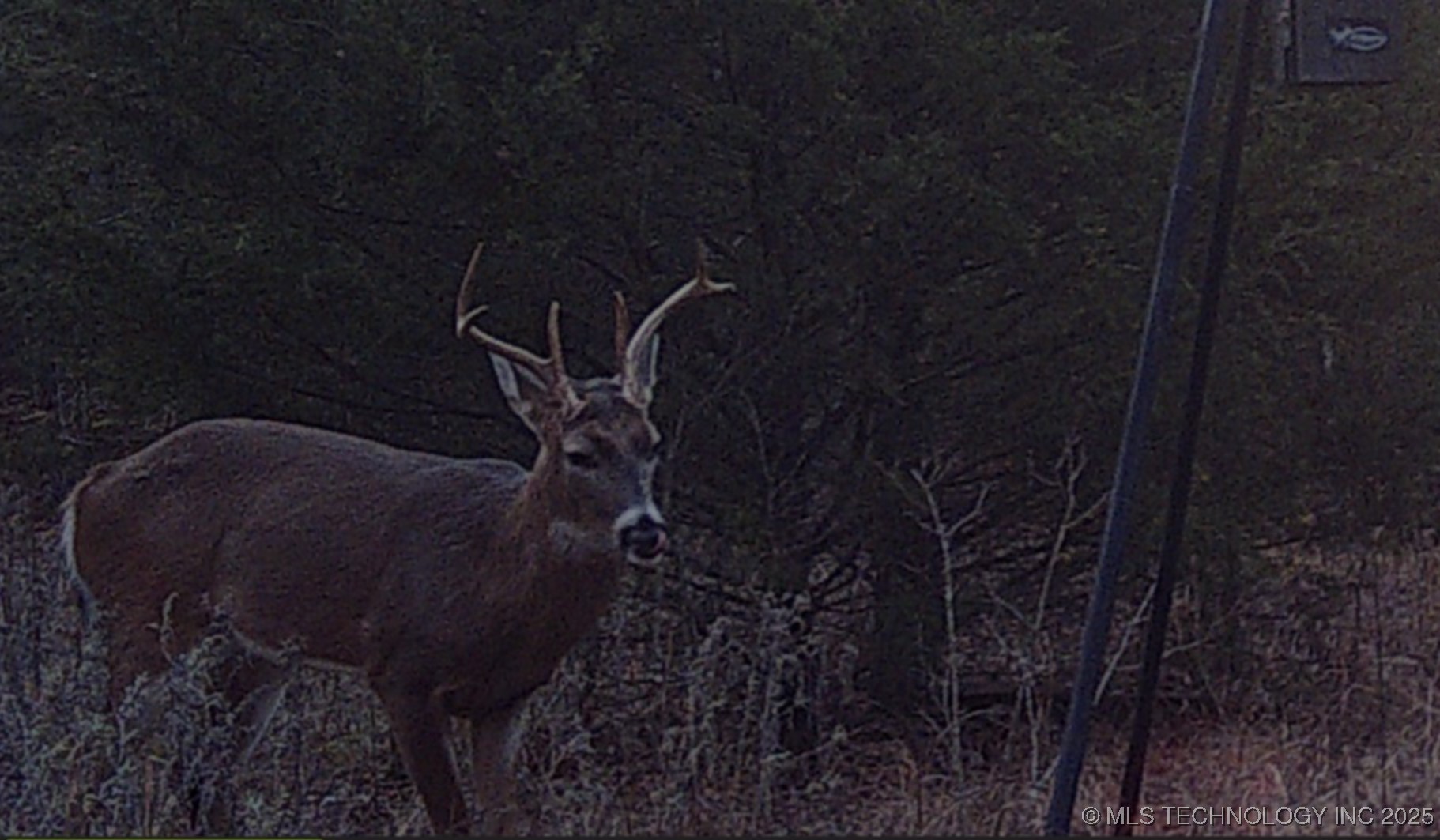 0 County Road 3630 Ada OK 74820