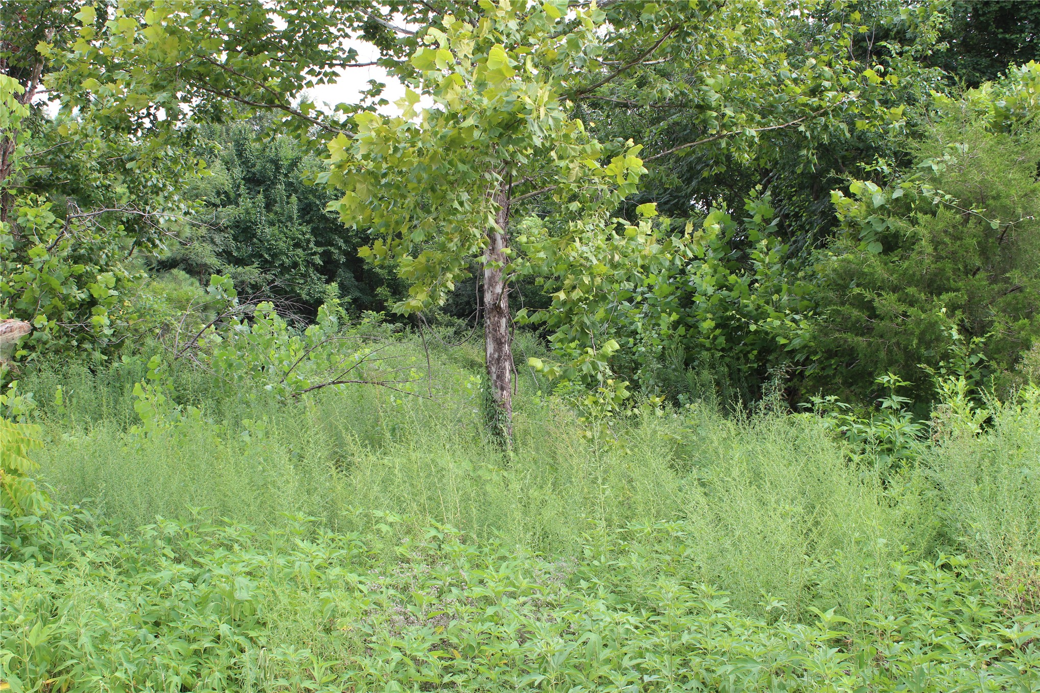 507 Overmon Eufaula OK 74432