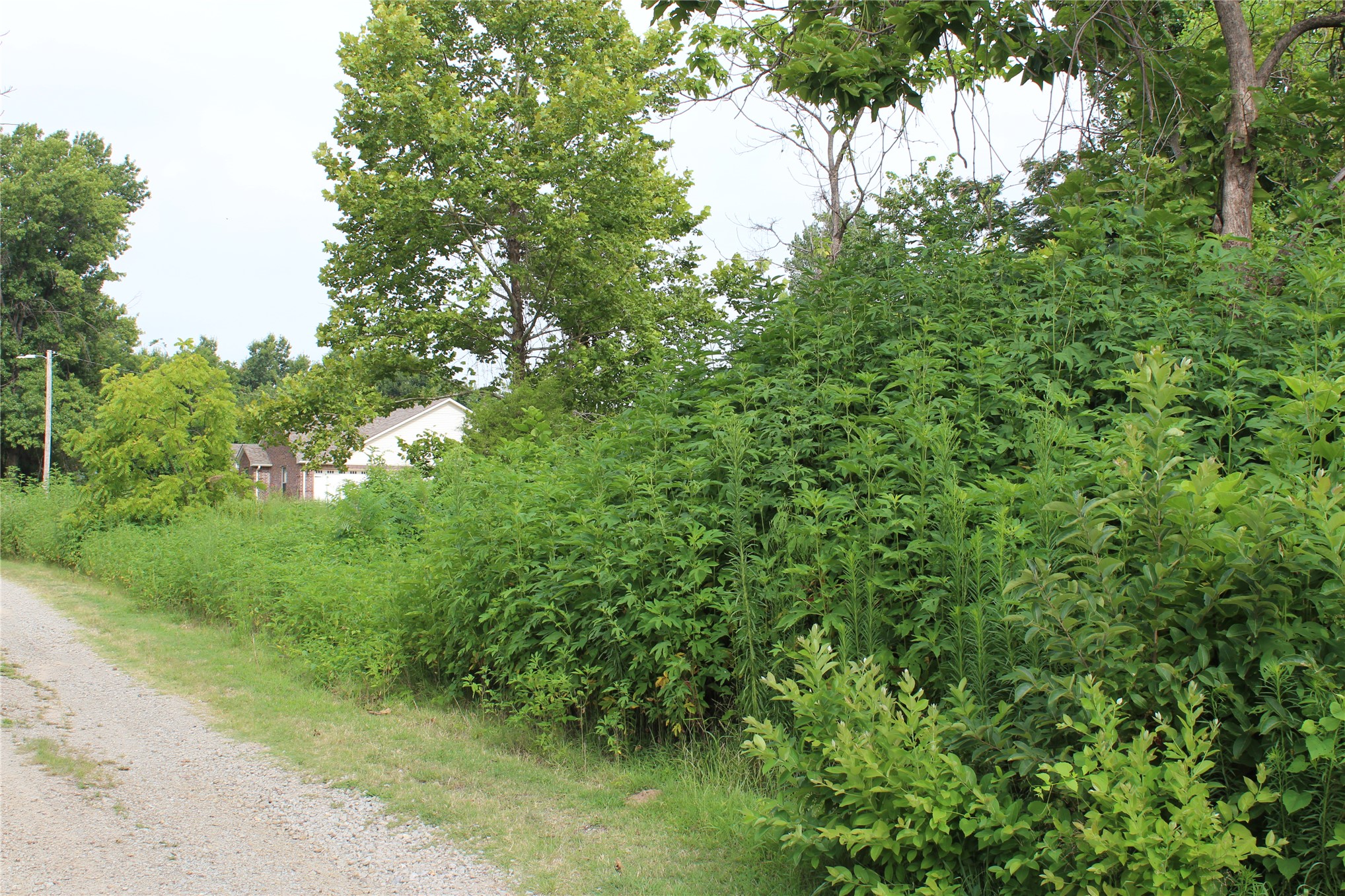 507 Overmon Eufaula OK 74432