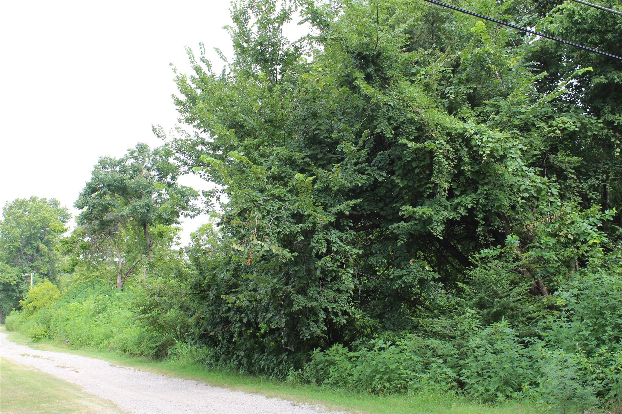 507 Overmon Eufaula OK 74432