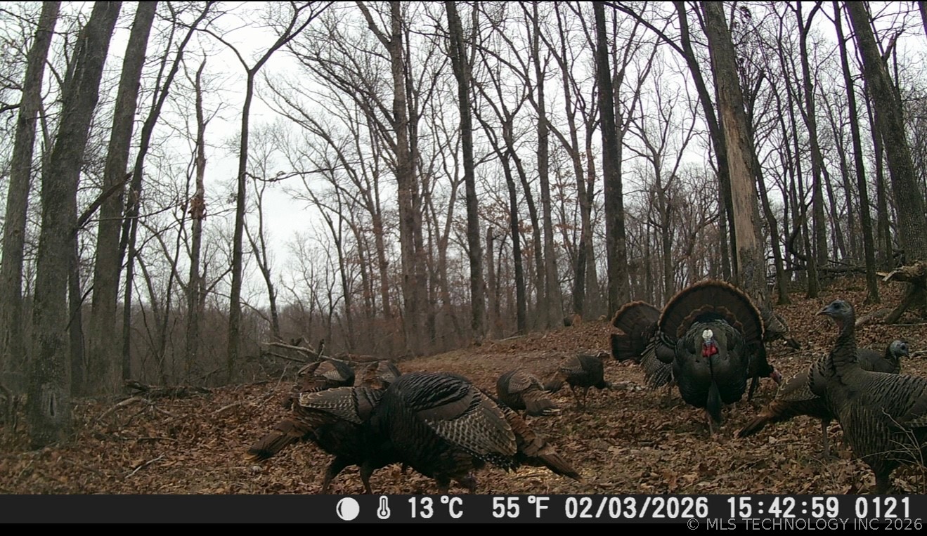 18003 S 650 Road Wyandotte OK 74370