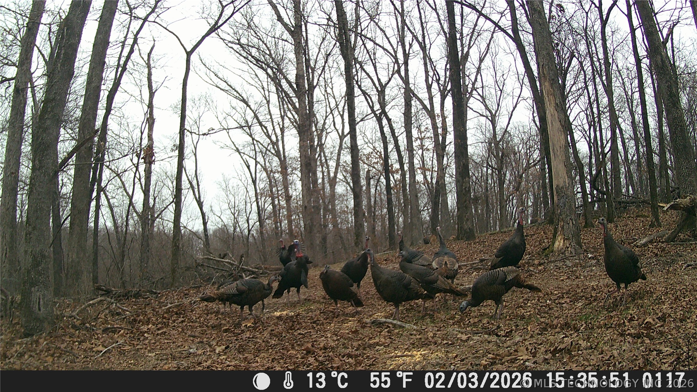 18003 S 650 Road Wyandotte OK 74370