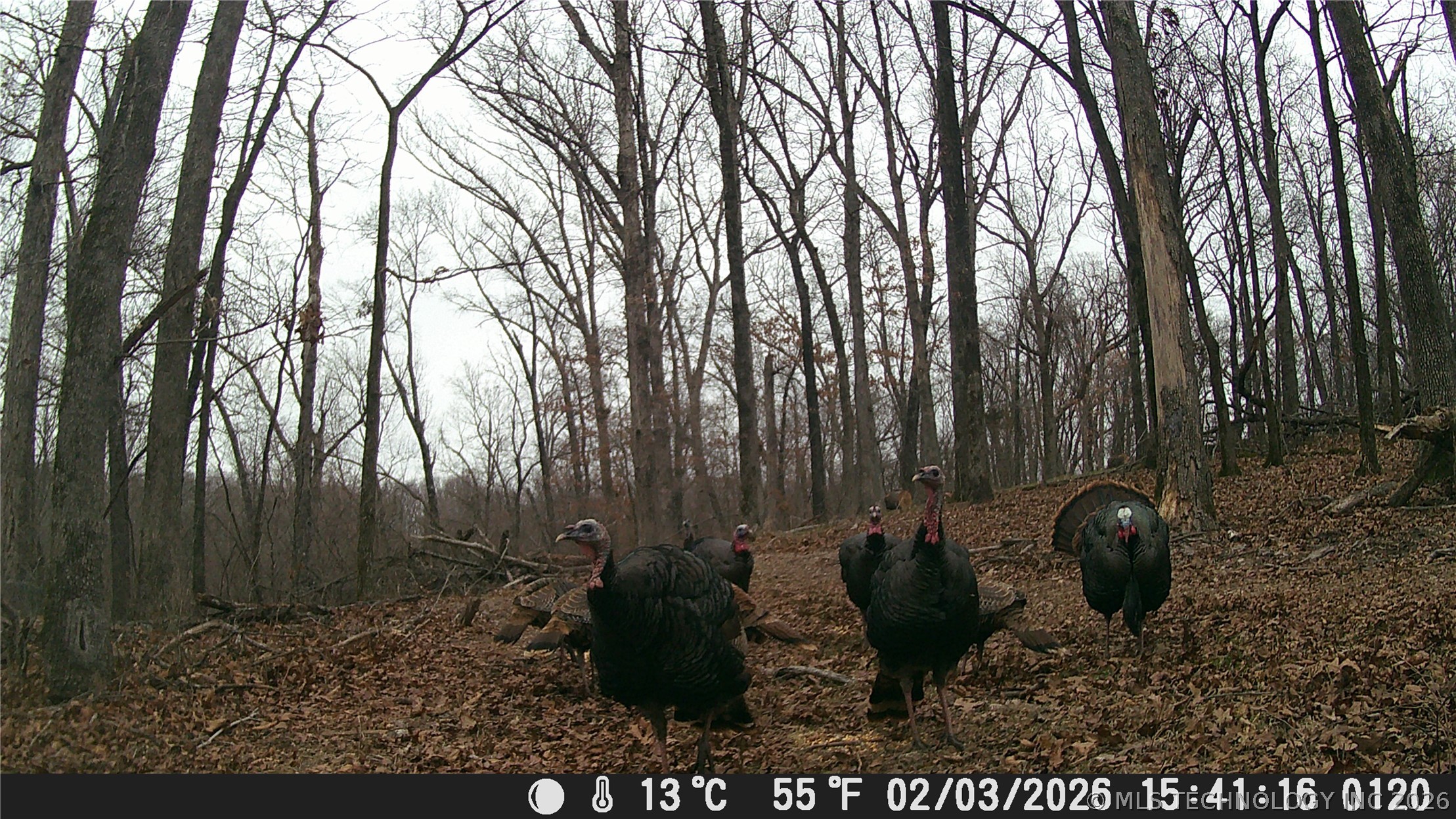 18003 S 650 Road Wyandotte OK 74370