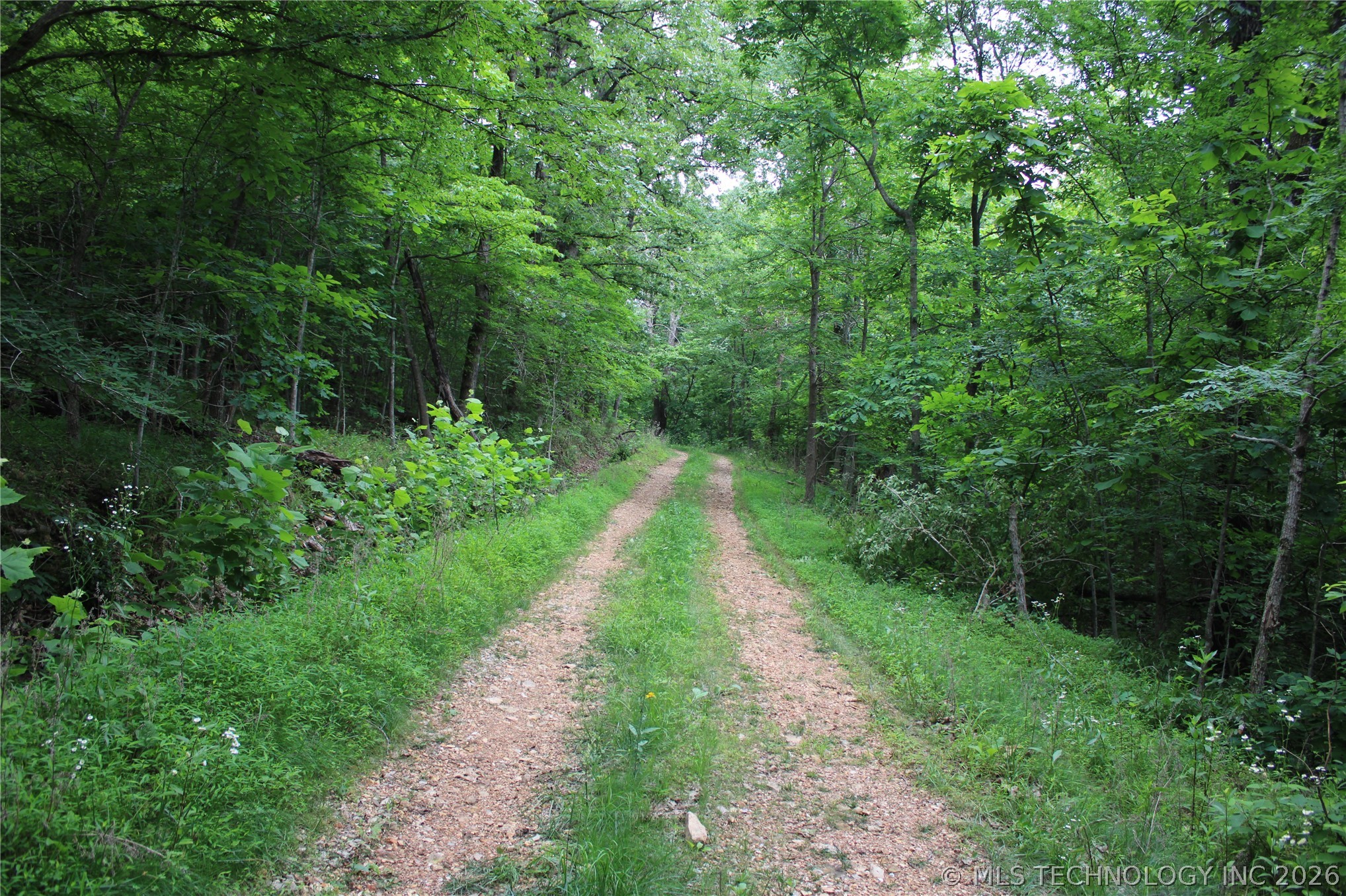 18003 S 650 Road Wyandotte OK 74370