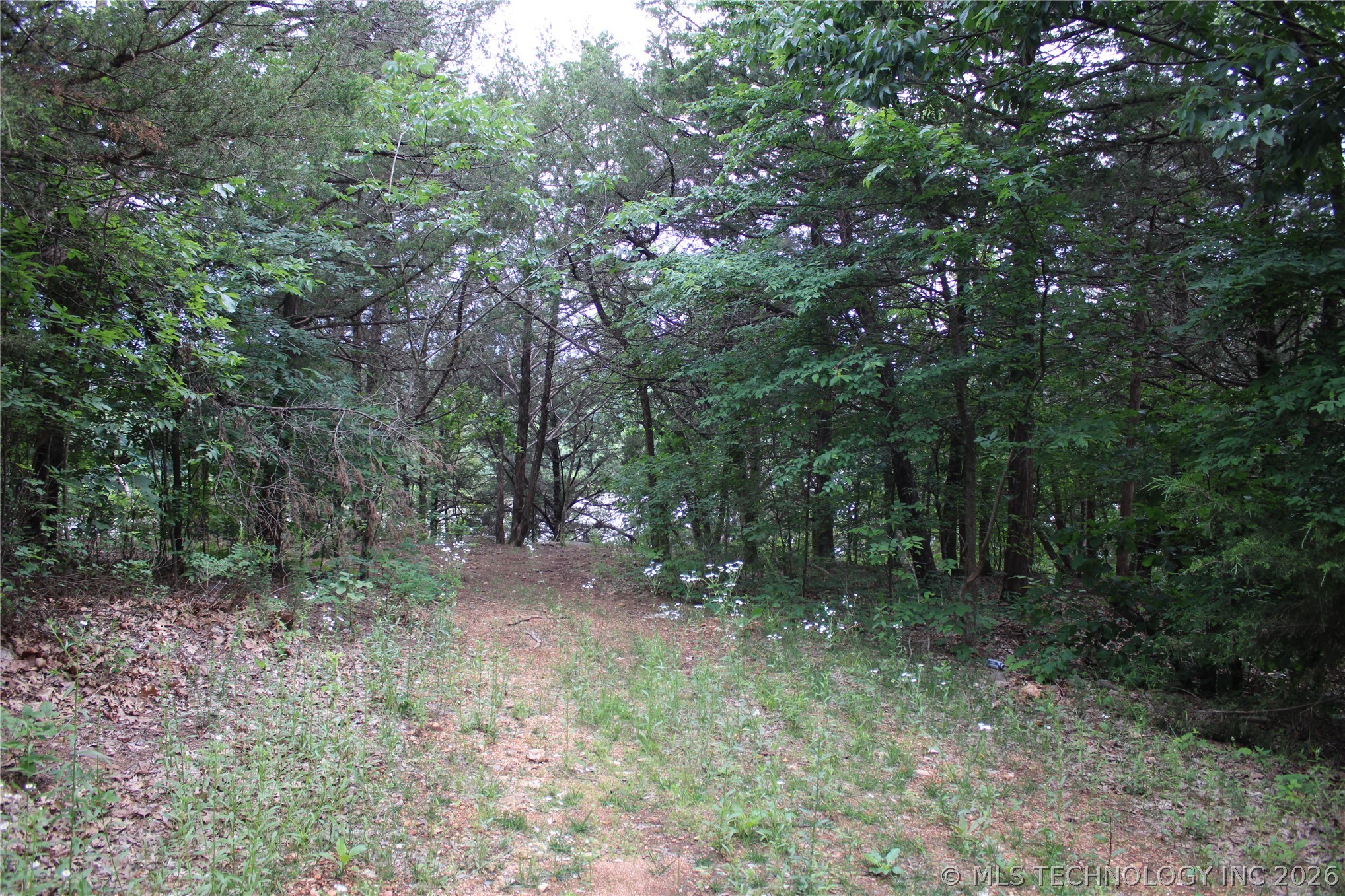 18003 S 650 Road Wyandotte OK 74370