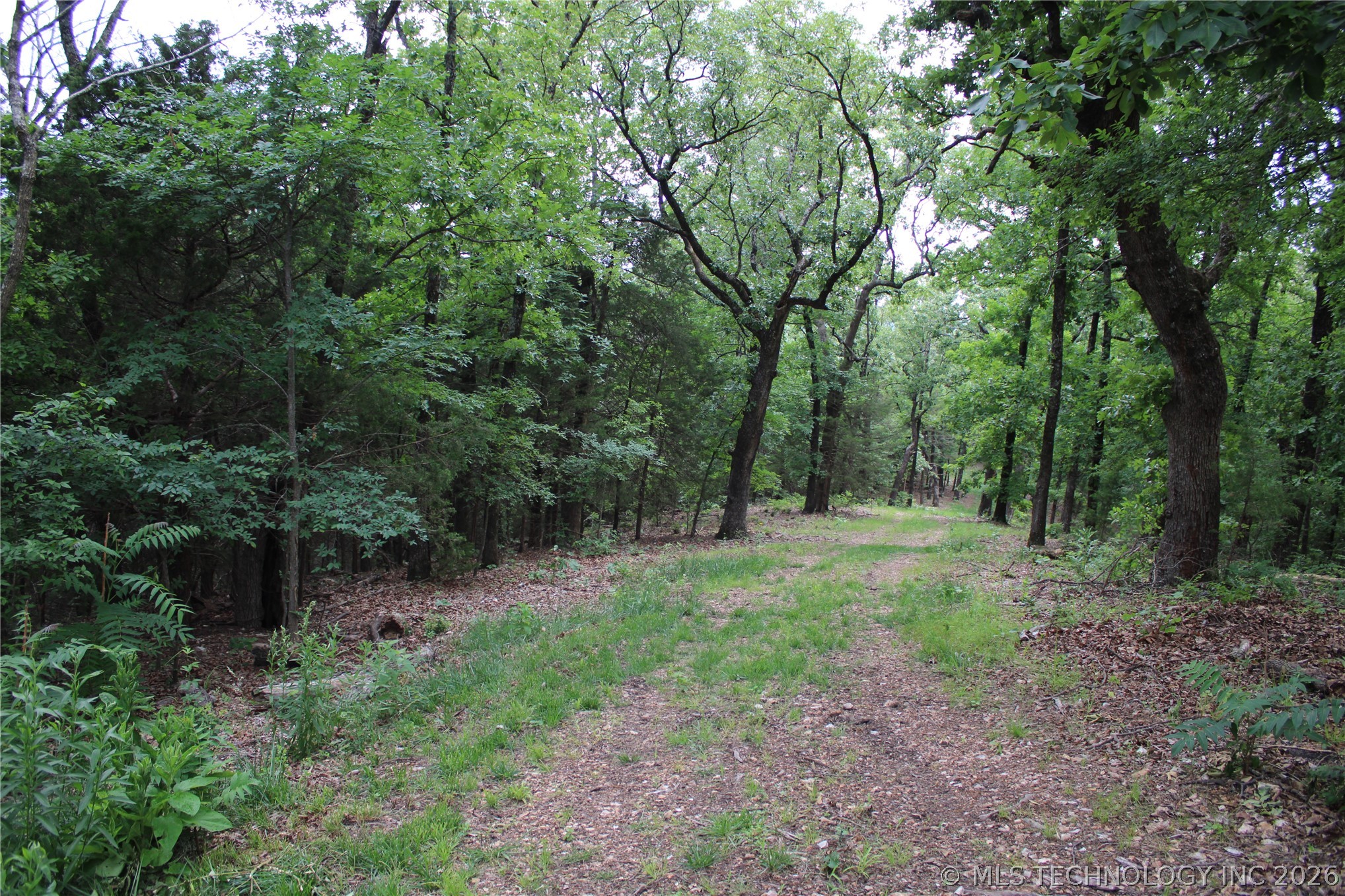 18003 S 650 Road Wyandotte OK 74370