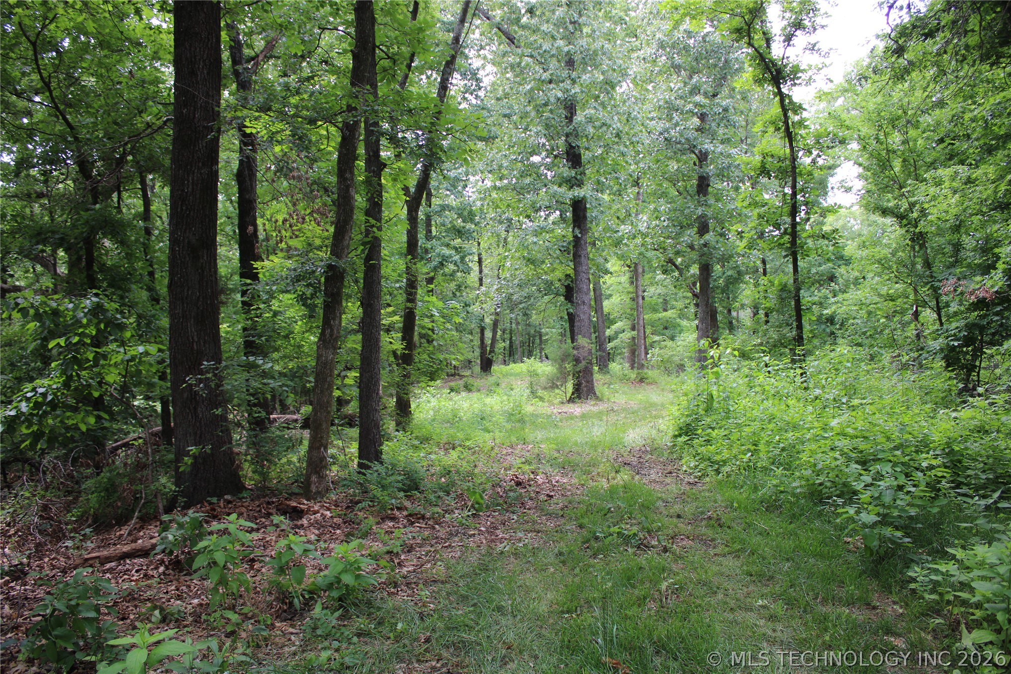 18003 S 650 Road Wyandotte OK 74370