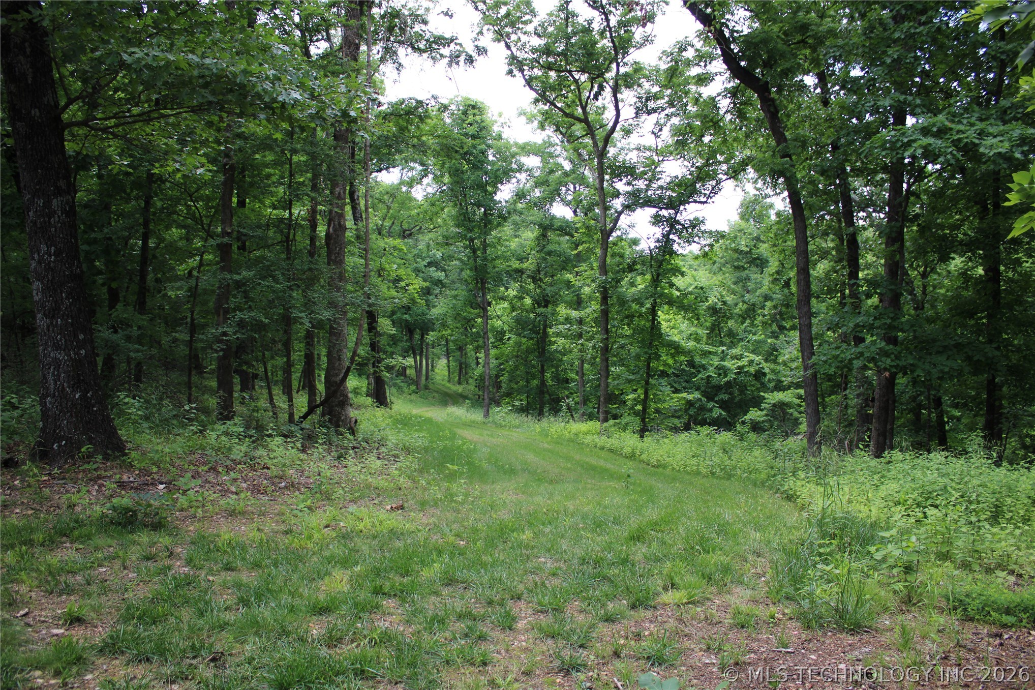 18003 S 650 Road Wyandotte OK 74370
