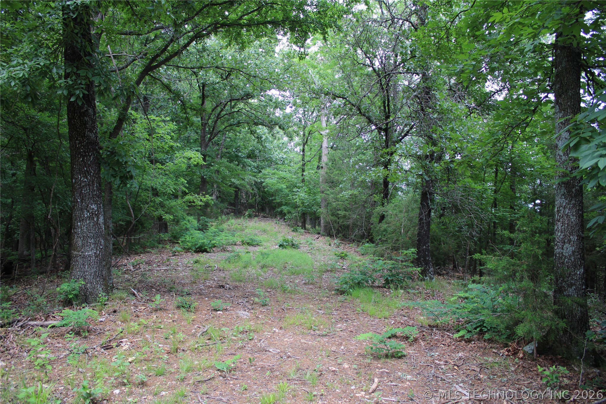 18003 S 650 Road Wyandotte OK 74370