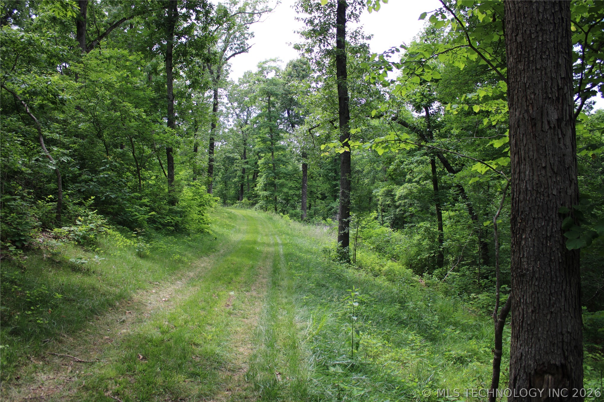 18003 S 650 Road Wyandotte OK 74370