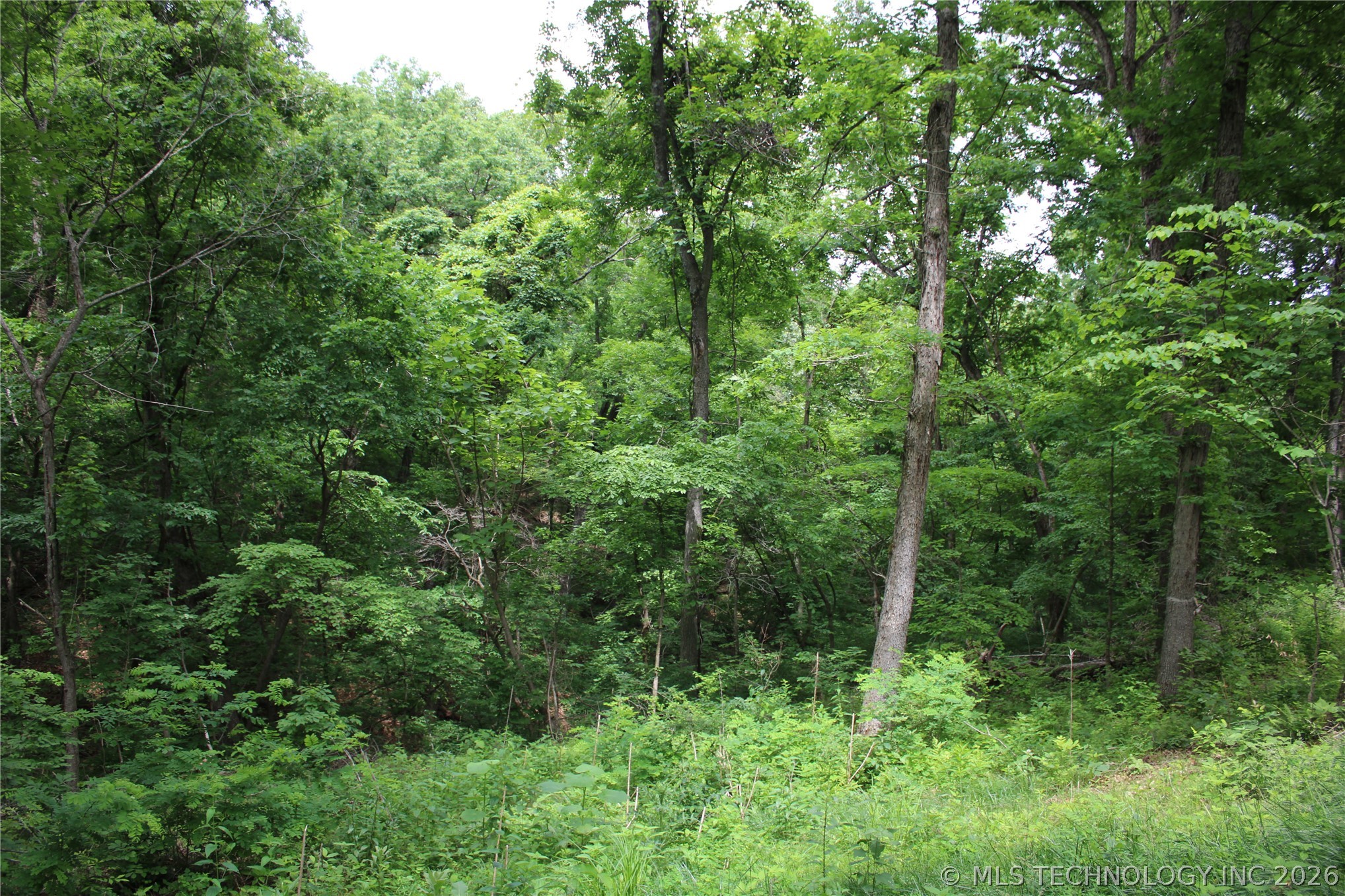 18003 S 650 Road Wyandotte OK 74370