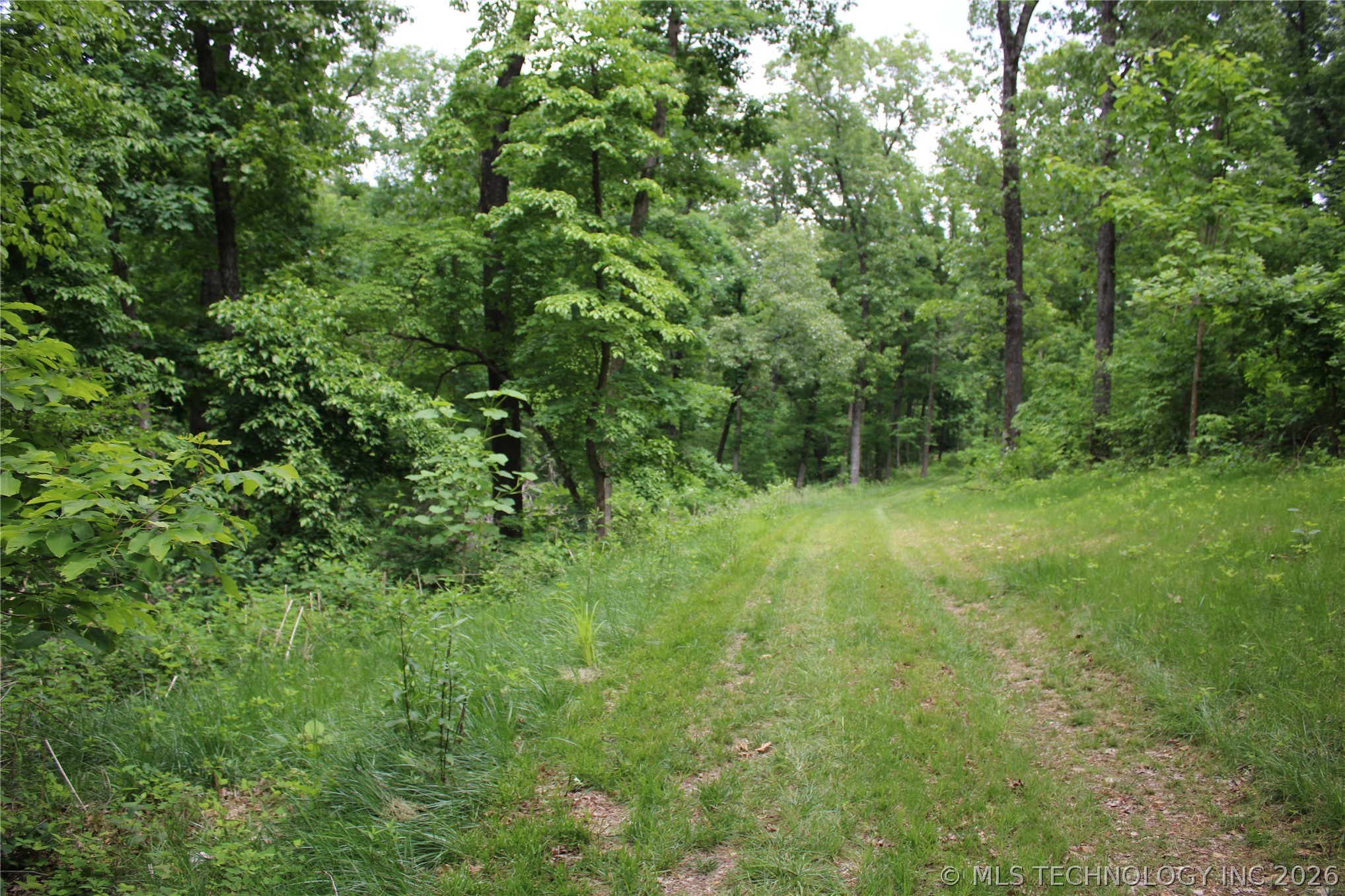 18003 S 650 Road Wyandotte OK 74370