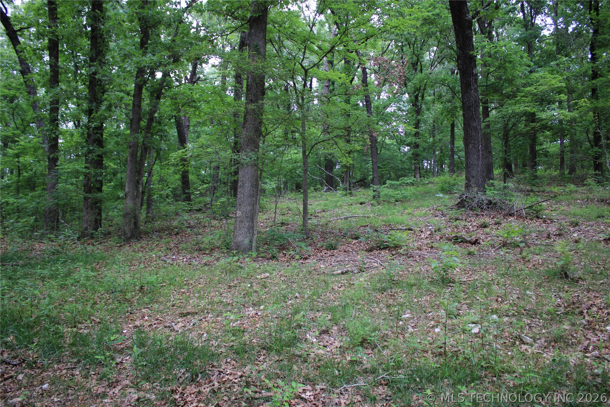 18003 S 650 Road Wyandotte OK 74370