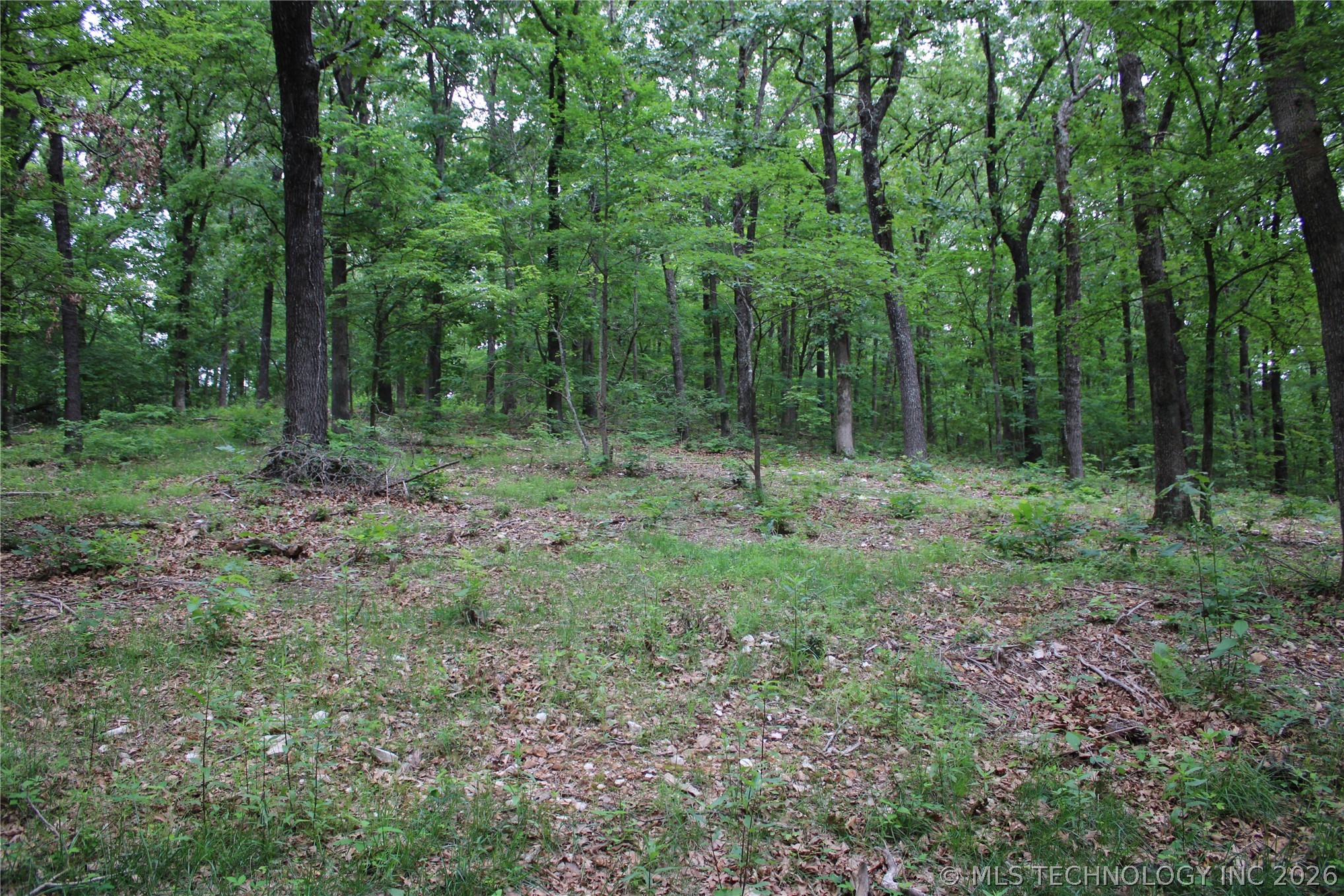 18003 S 650 Road Wyandotte OK 74370