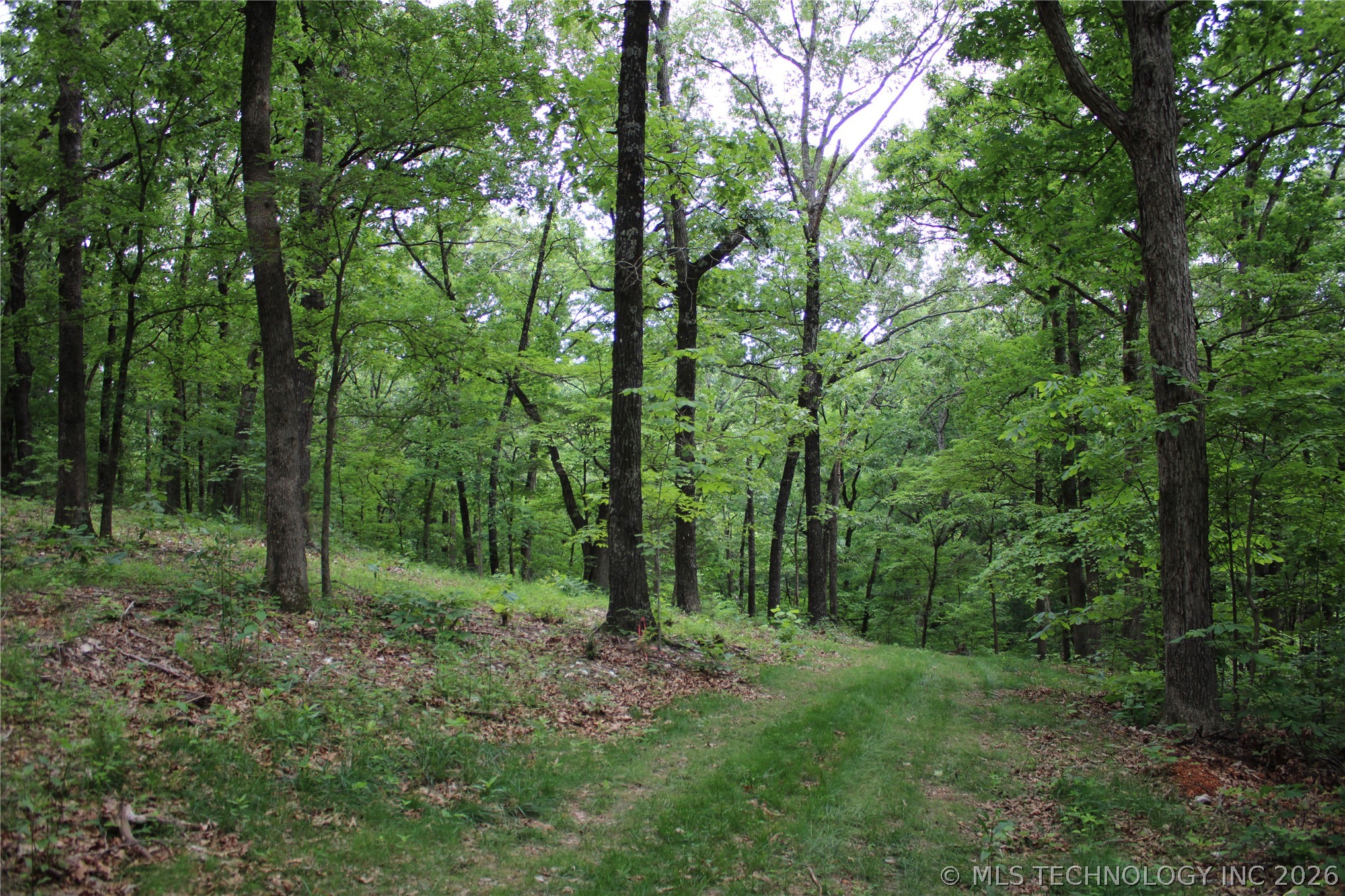 18003 S 650 Road Wyandotte OK 74370