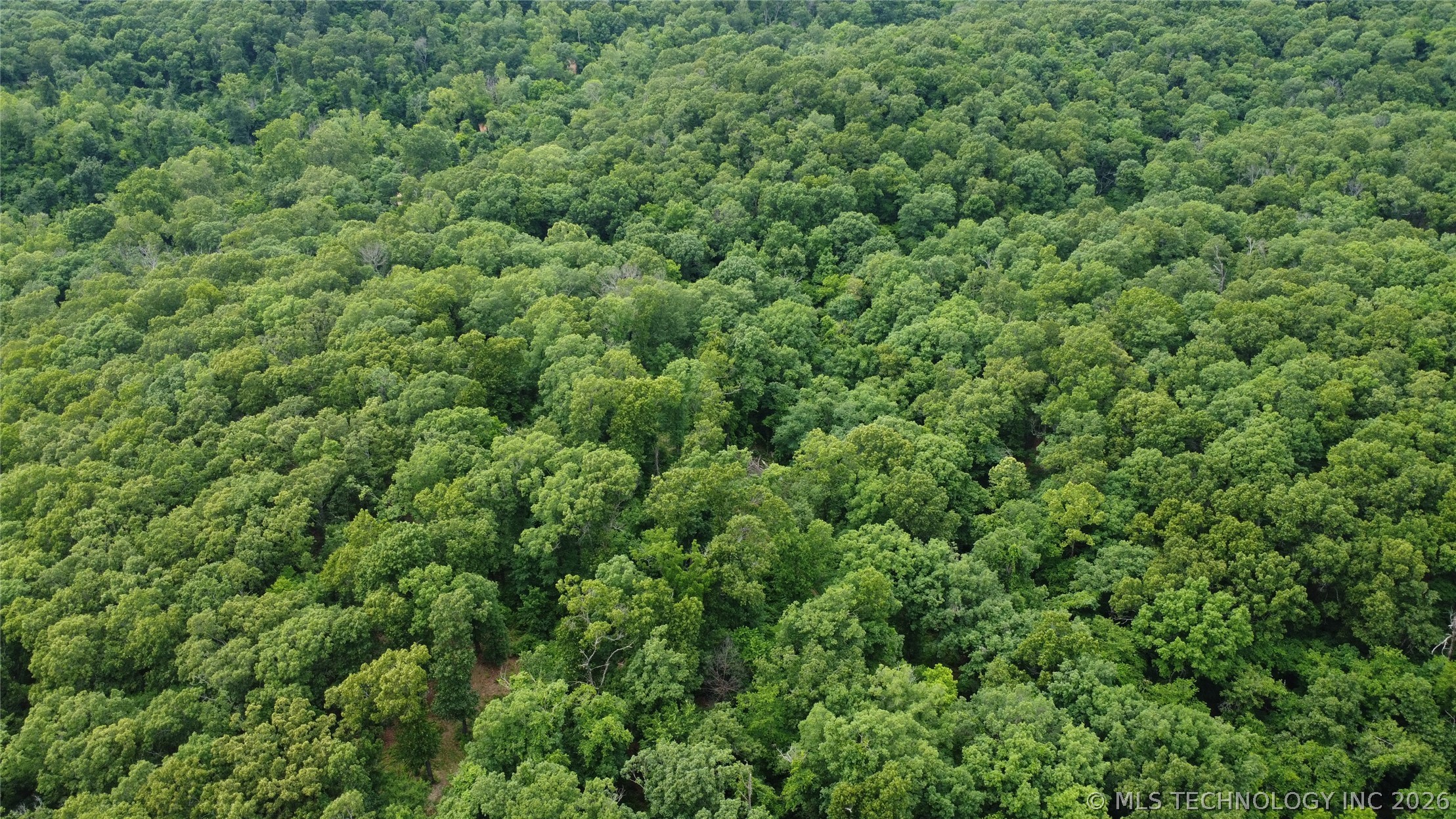 18003 S 650 Road Wyandotte OK 74370