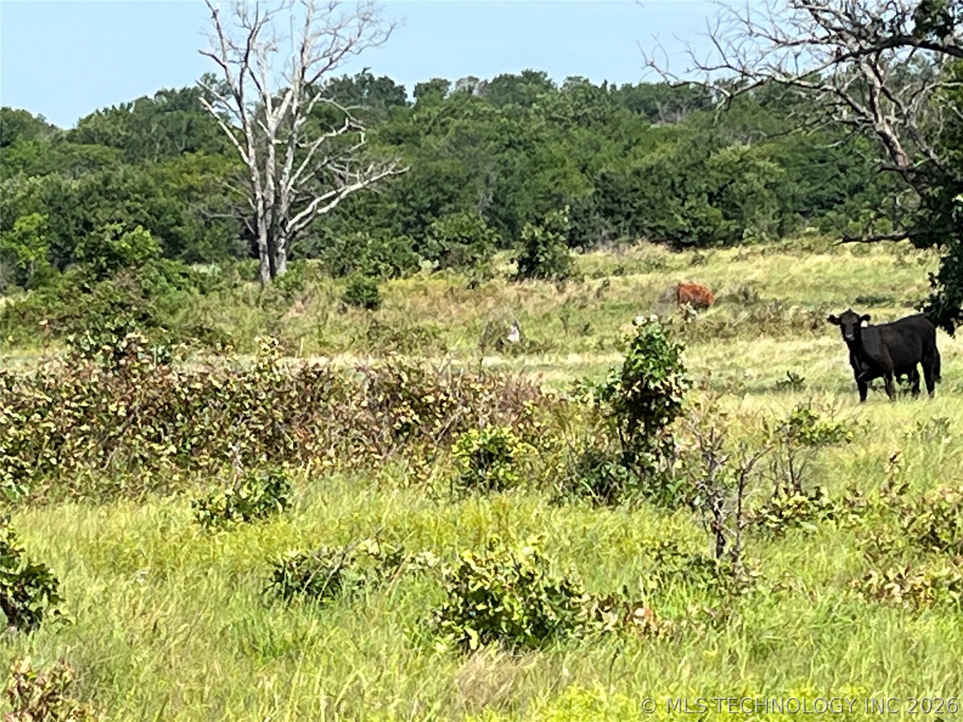 Hwy 69-75 Highway Stringtown OK 74525